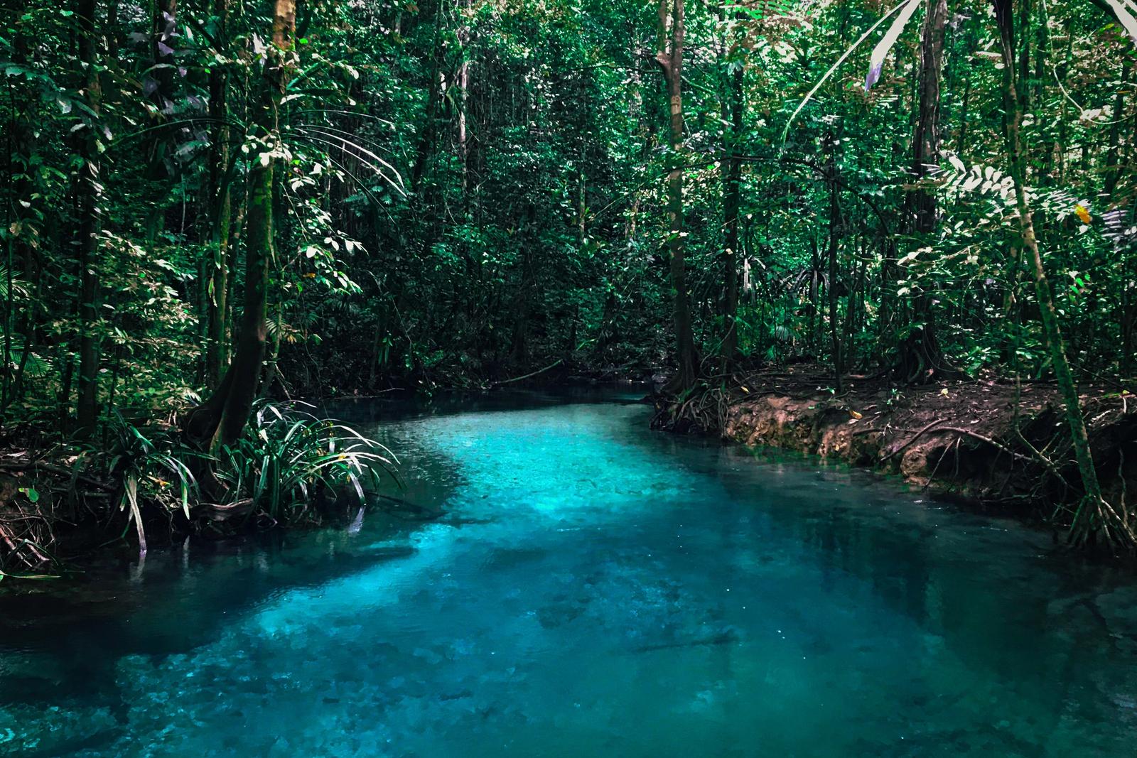 A clear turquoise river pool in dense rainforest