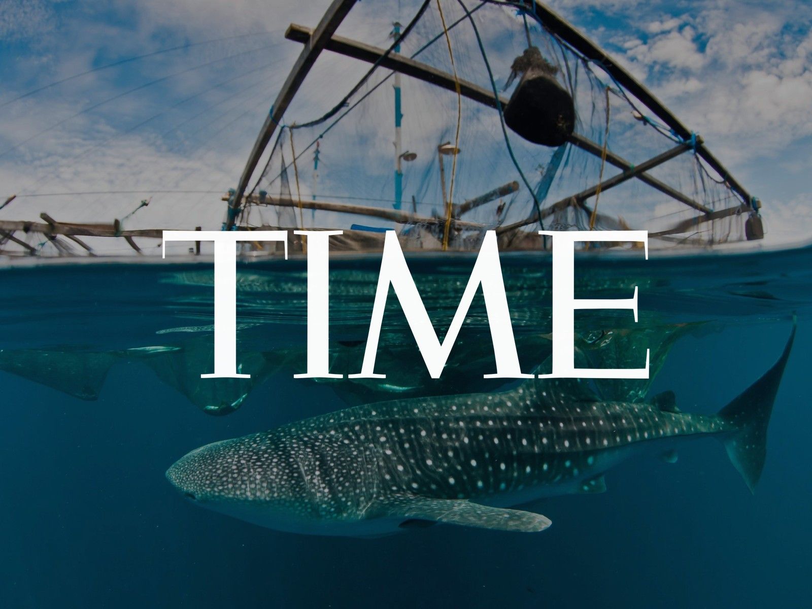 TIME