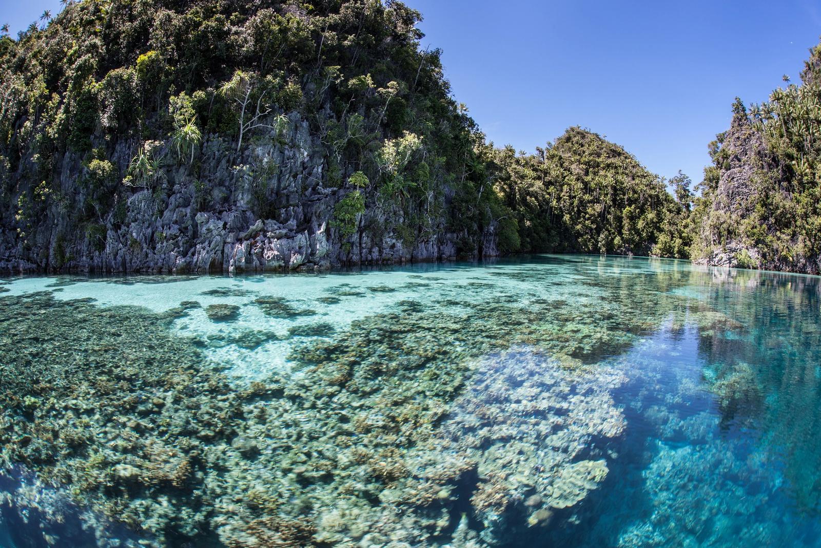 Corals in a clear lagoon below limestone cliffs, half above and half below the water