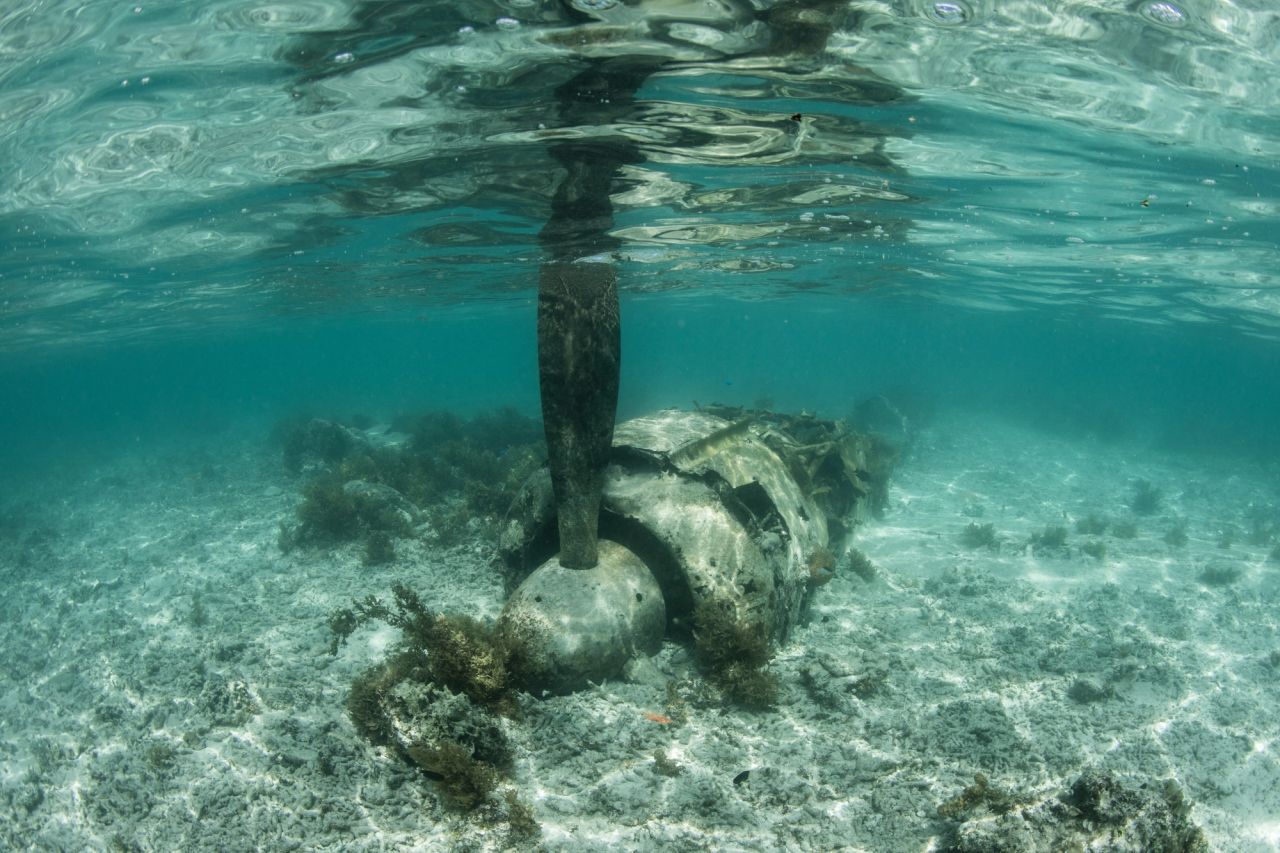 The Peleliu Permit