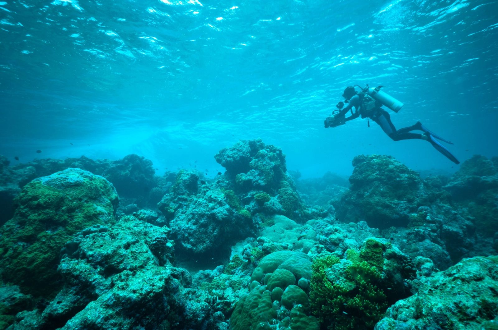 A diver filming over the reef in the clear lagoon waters of Mapia Atoll.