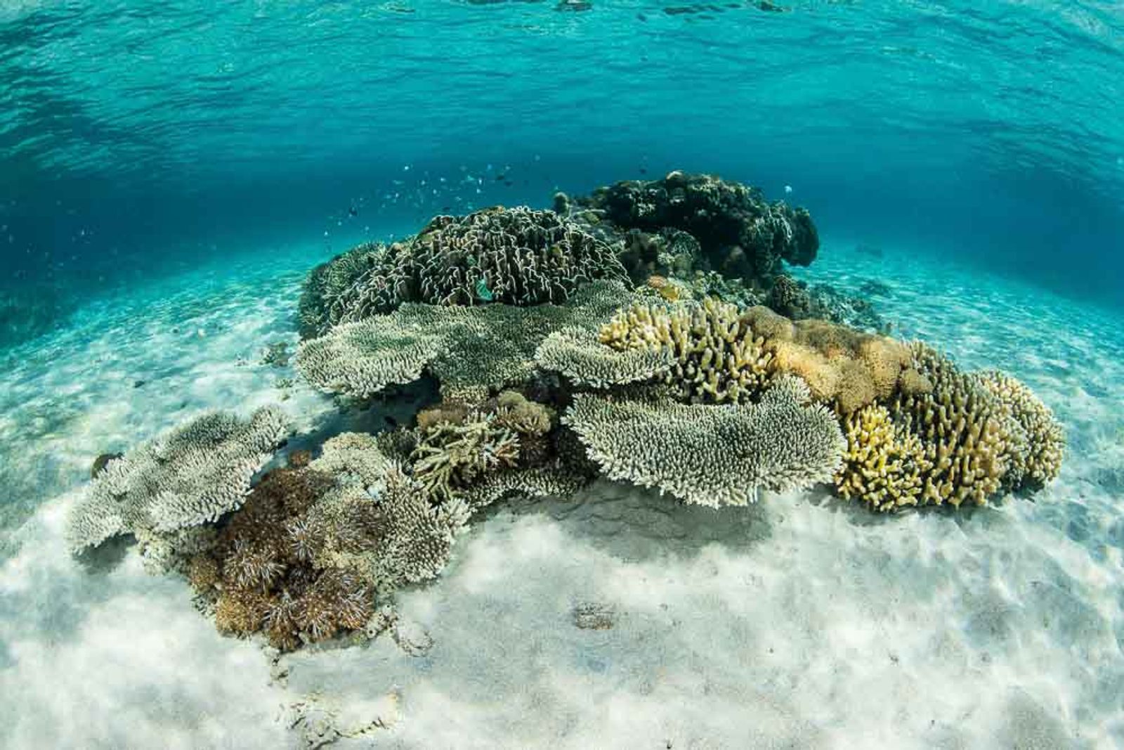 Gili Lawa Laut, Gili Lawa Darat