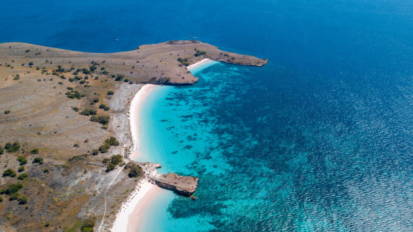 A pink-sand beach and reef below dry hills, seen from the air