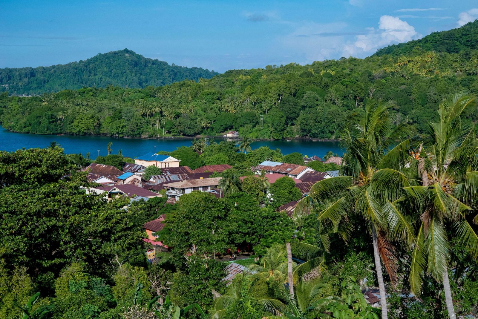 A village of red roofs among palms above a Banda bay