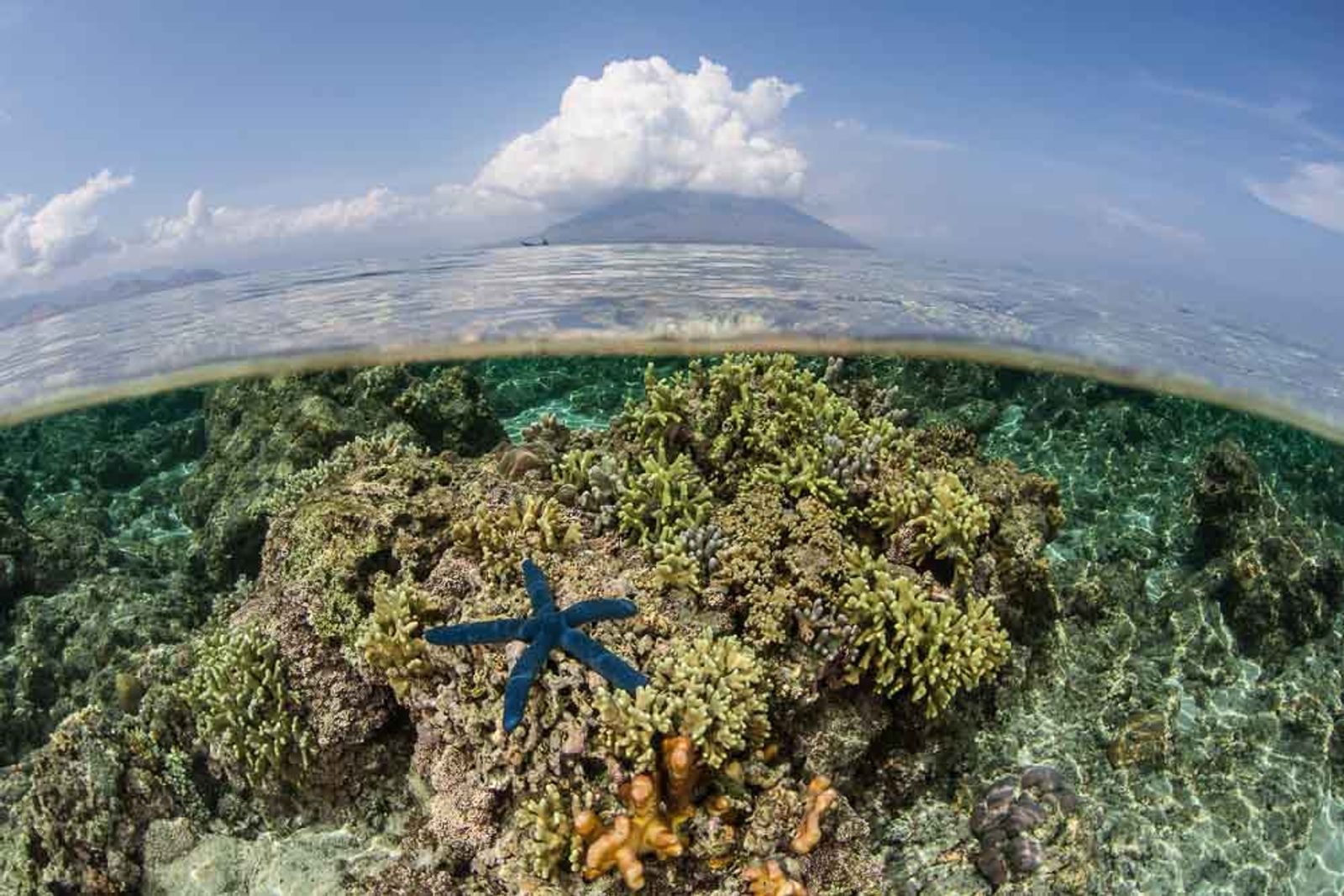 Pemana Besar, Northern Flores