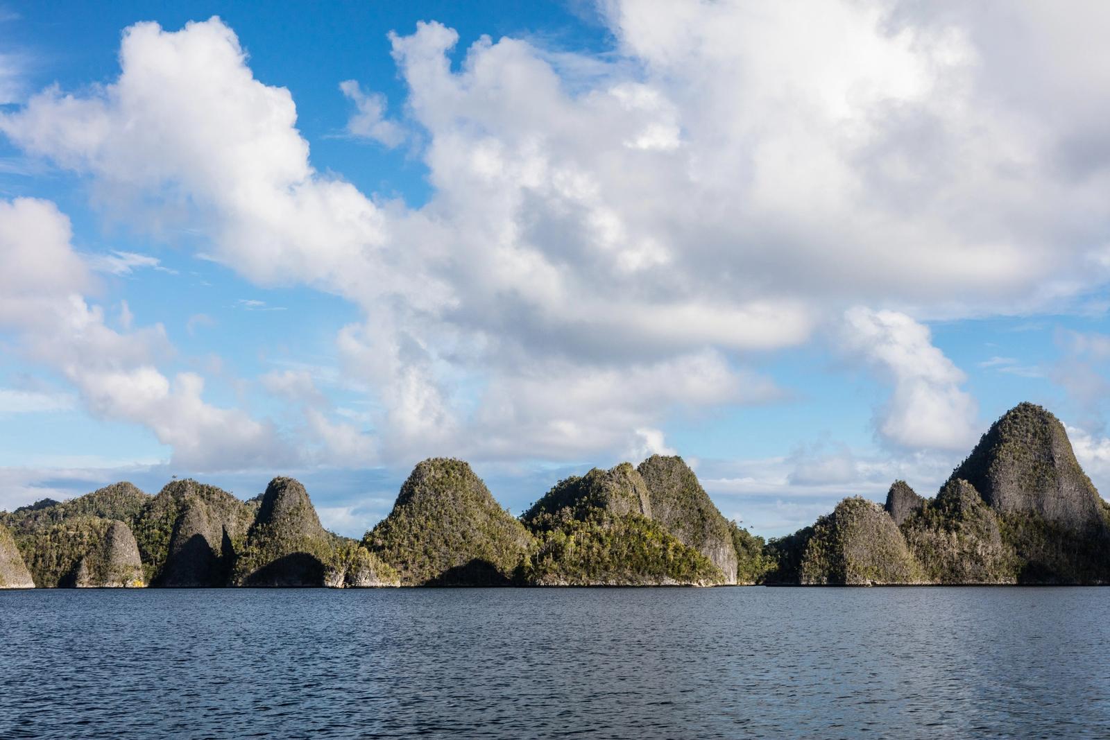 The remote limestone islands in Wayag, Raja Ampat, Indonesia, are covered by vegetation. The islands are ancient, uplifted reefs.