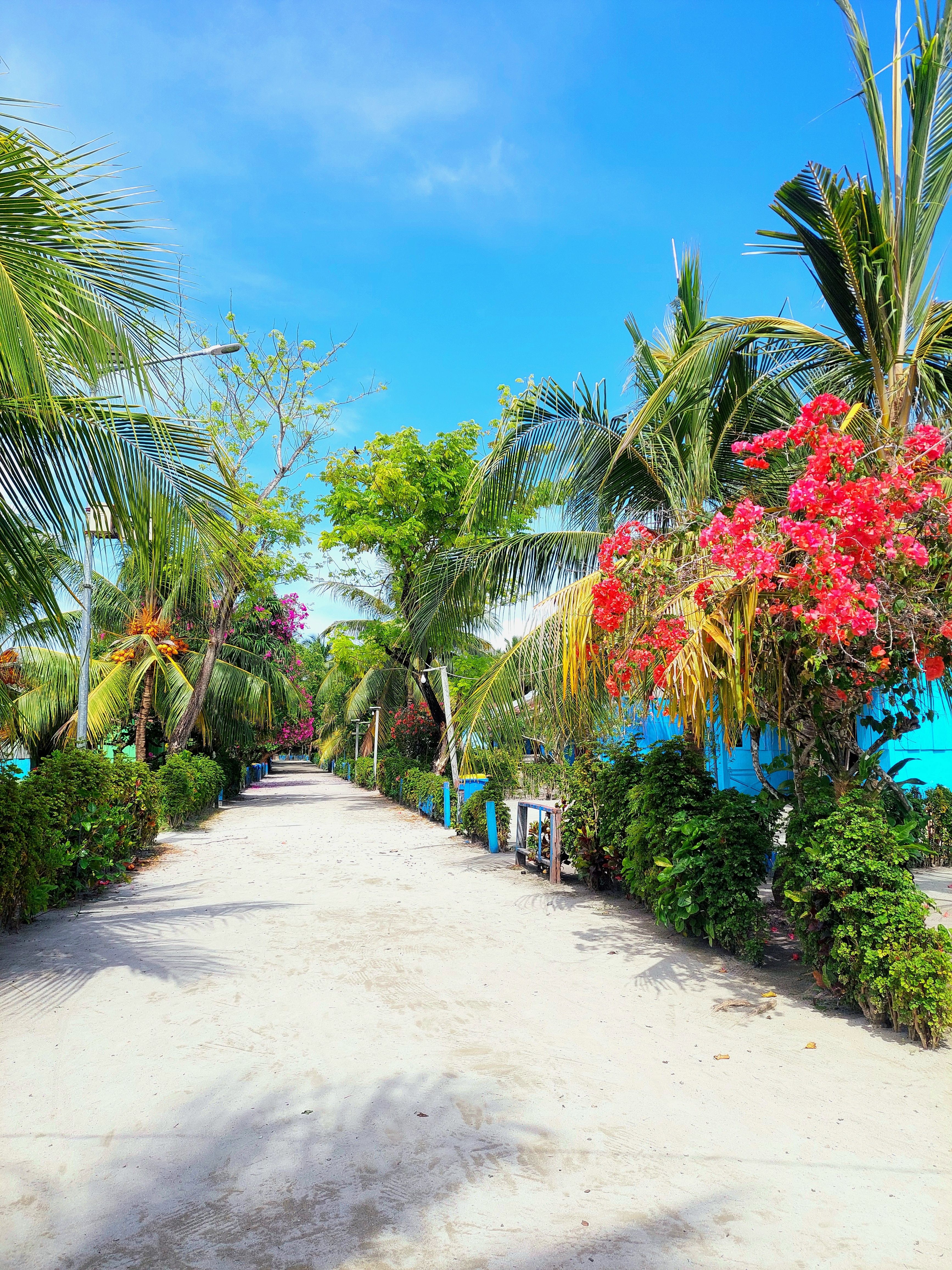 Arborek Village and its jetty in Raja Ampat, West Papua, Indonesia