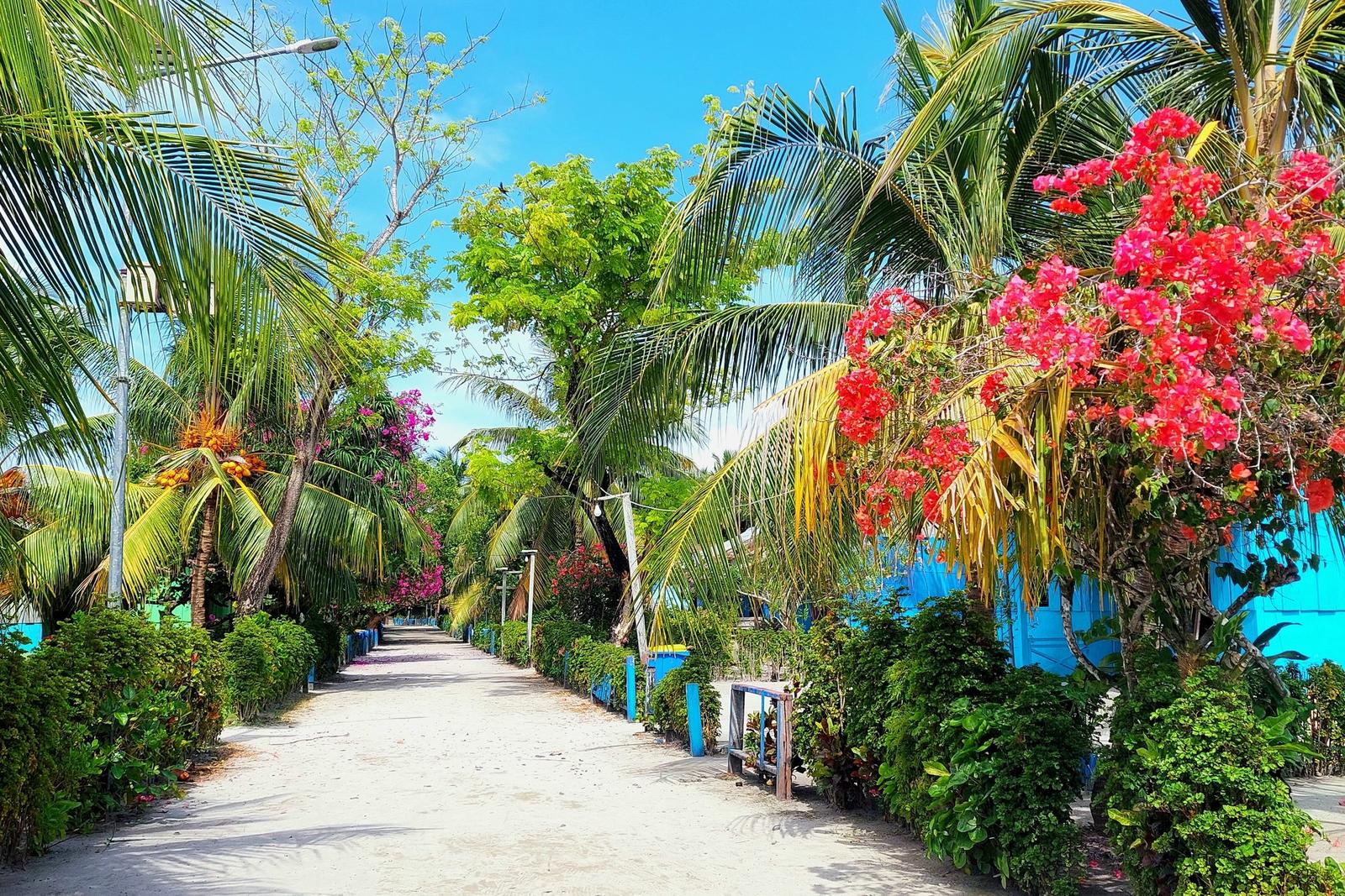 Arborek Village and its jetty in Raja Ampat, West Papua, Indonesia
