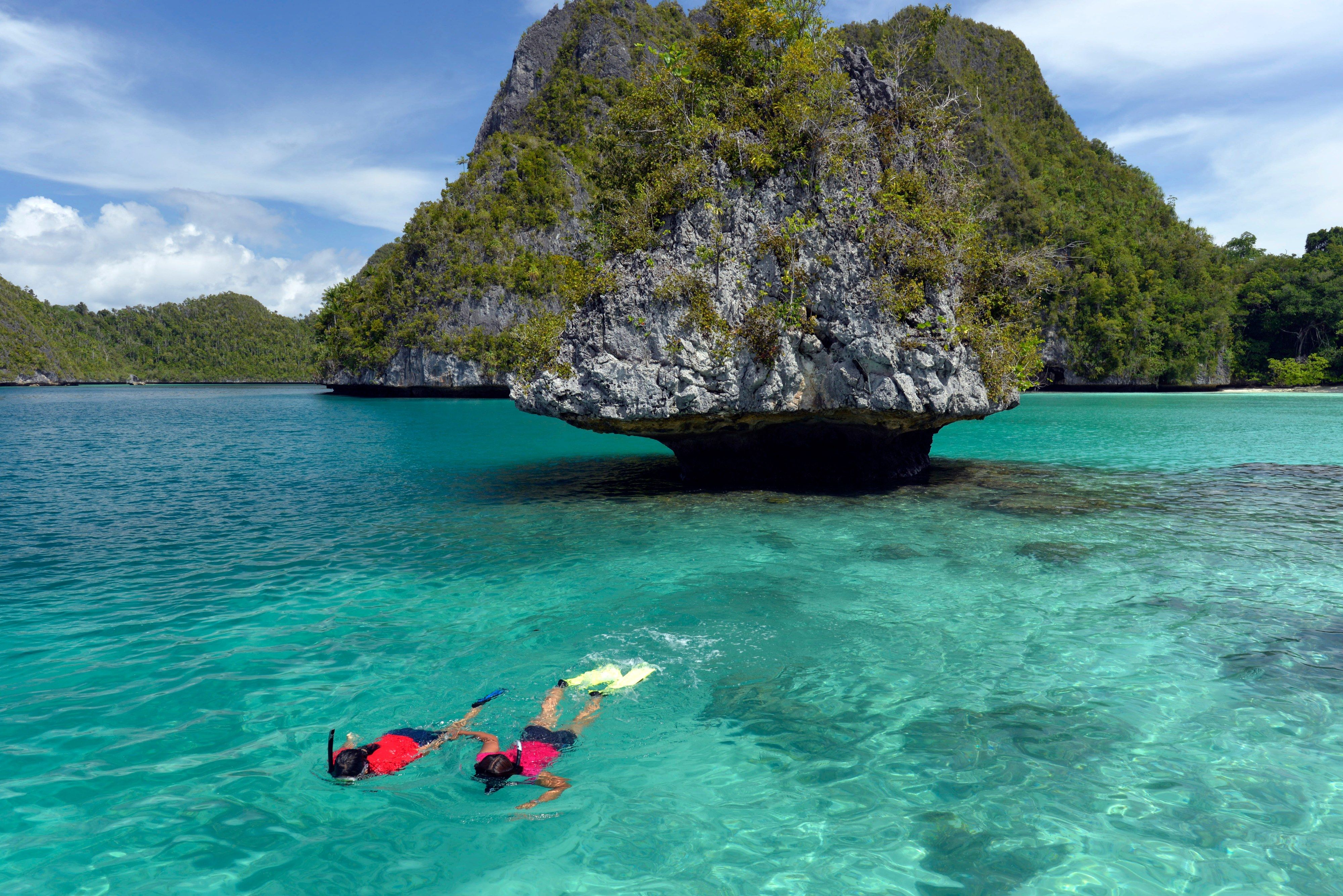Snorkelers drift over the reef while the divers go deep.