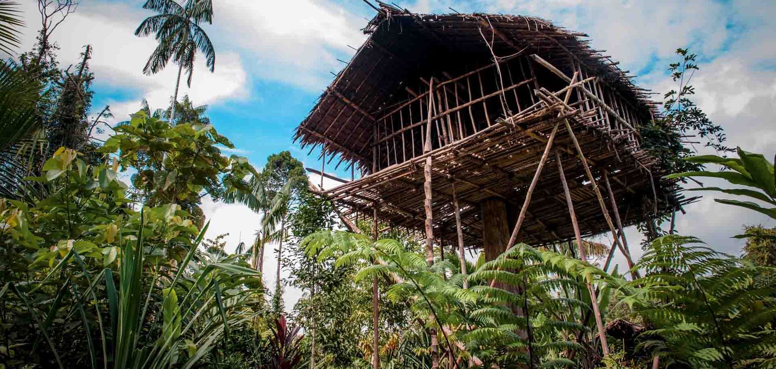 West Papua in Indonesia is one of the few places left where the heart of the wild beats undisturbed.