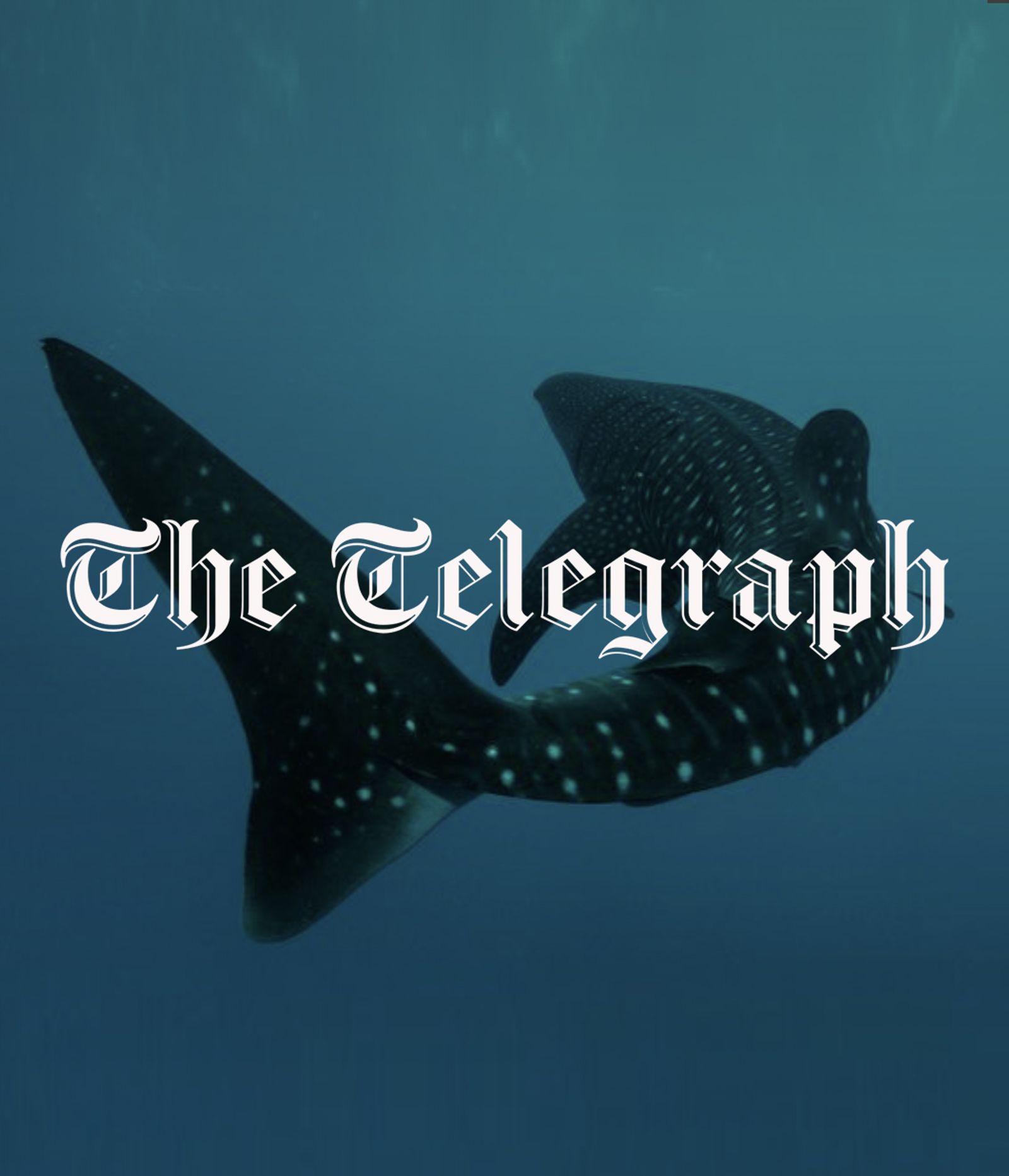 The Telegraph