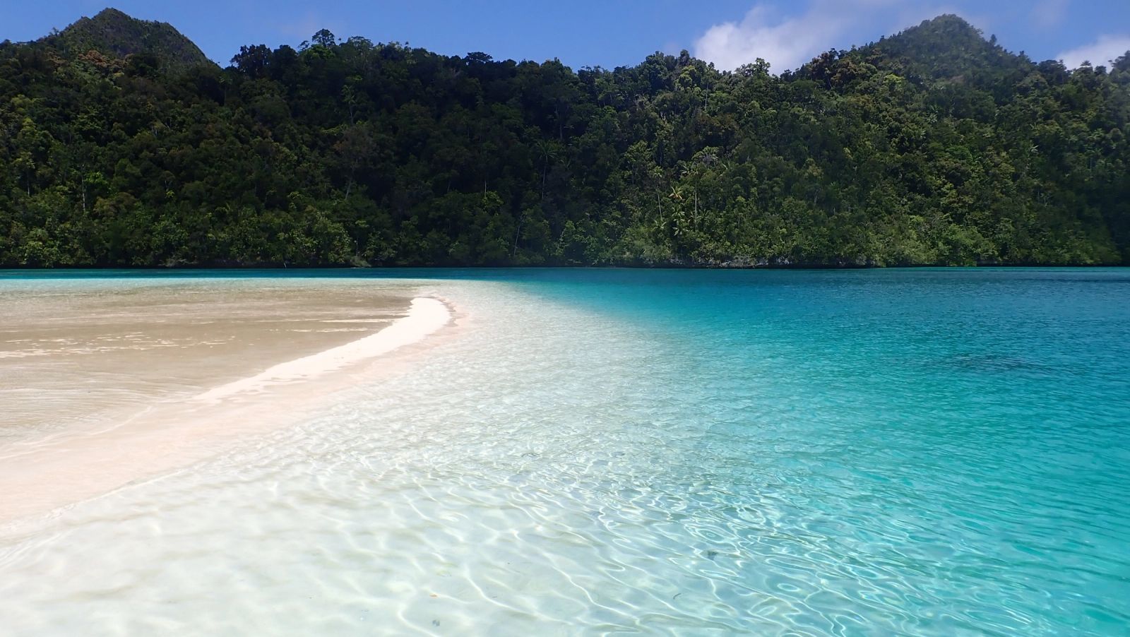 A white sandbar curving into calm water below forested islands in Wayag