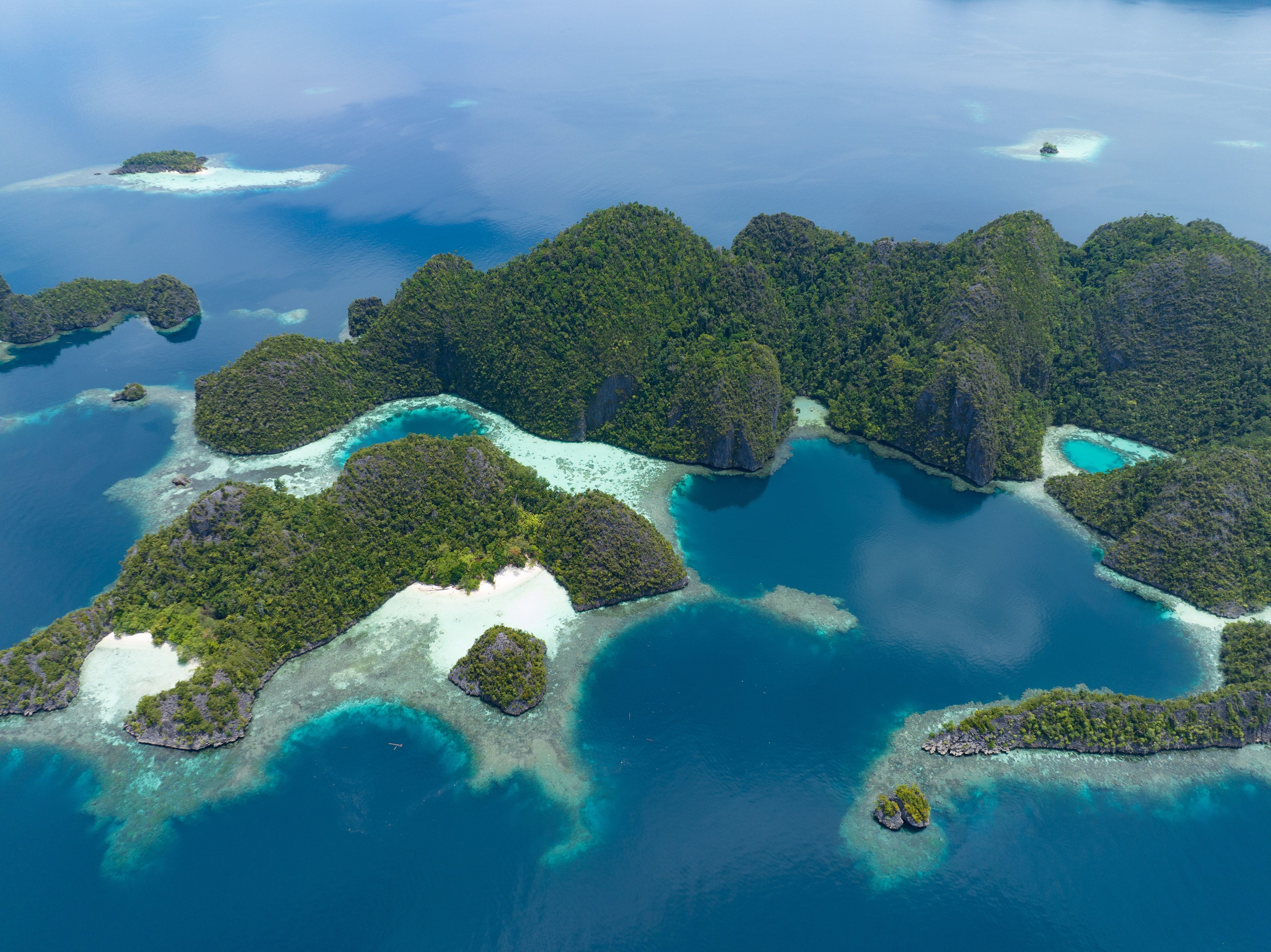 Beautiful coral reefs surround the dramatic limestone islands that rise from Raja Ampat's seascape. This remote part of Indonesia is known for its incredible marine biodiversity.