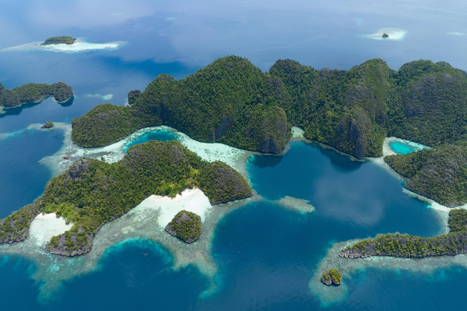 Beautiful coral reefs surround the dramatic limestone islands that rise from Raja Ampat's seascape. This remote part of Indonesia is known for its incredible marine biodiversity.