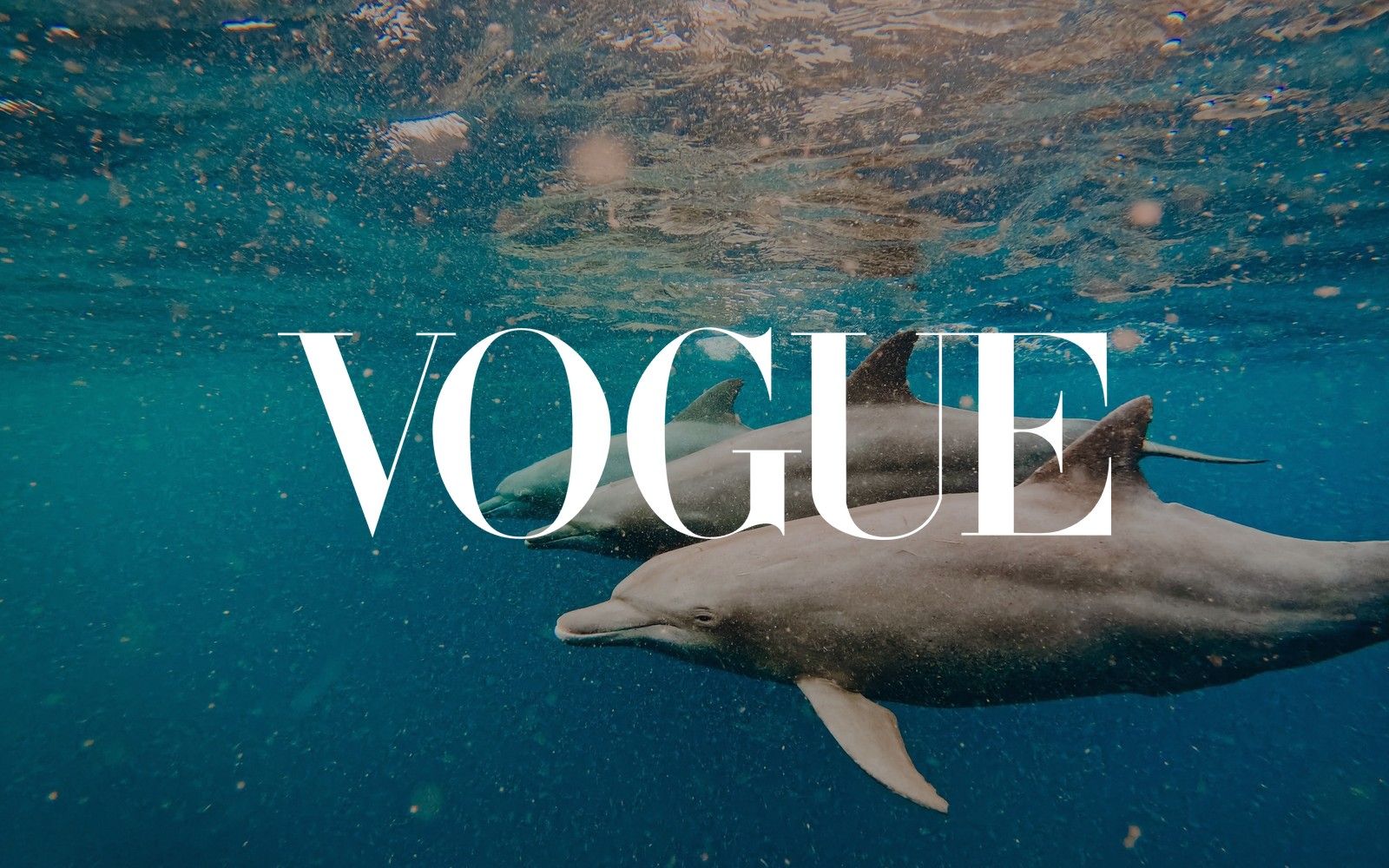 The Best Places to Snorkel Around the World