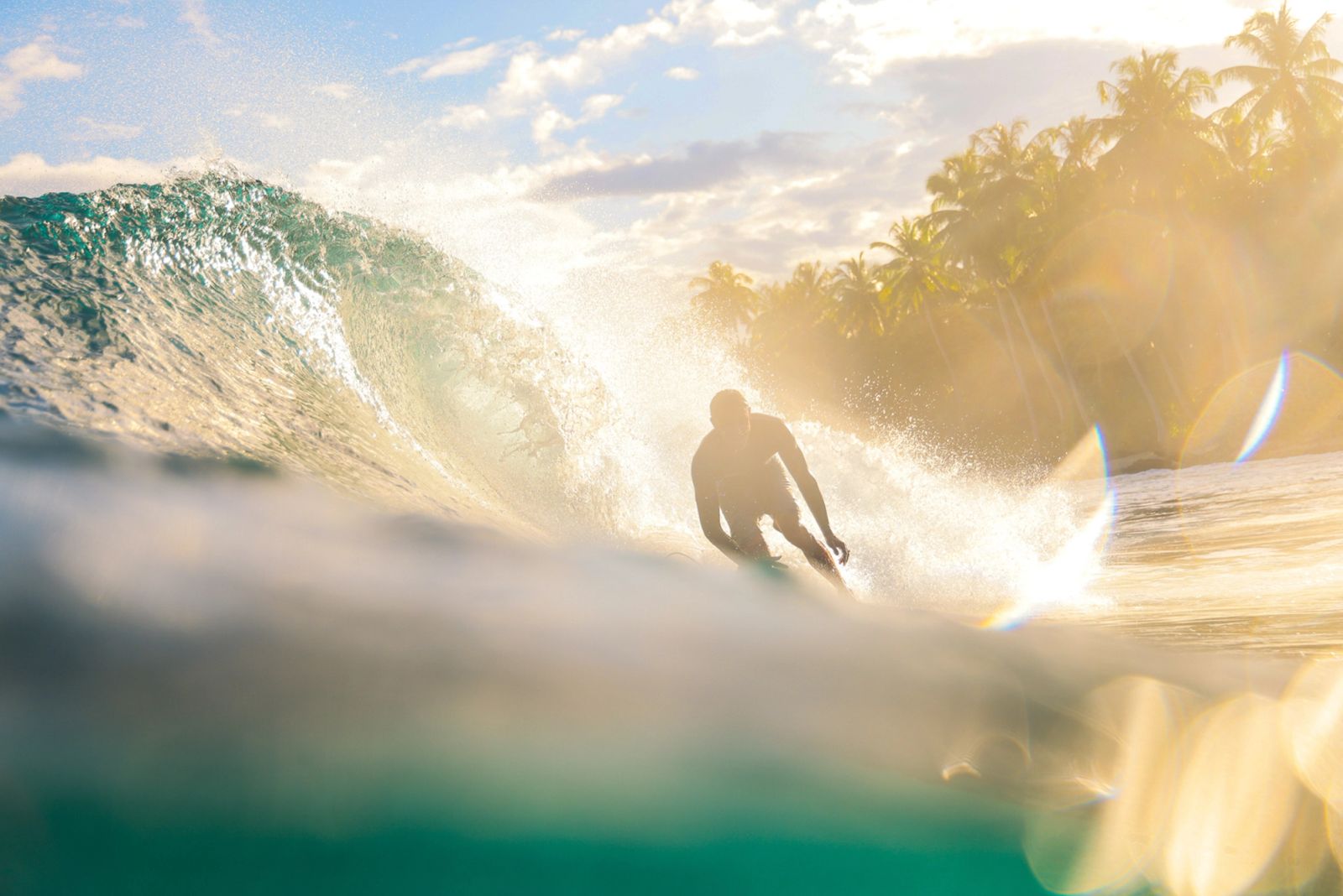 A surfer silhouetted against a glowing wave with palm trees behind.
