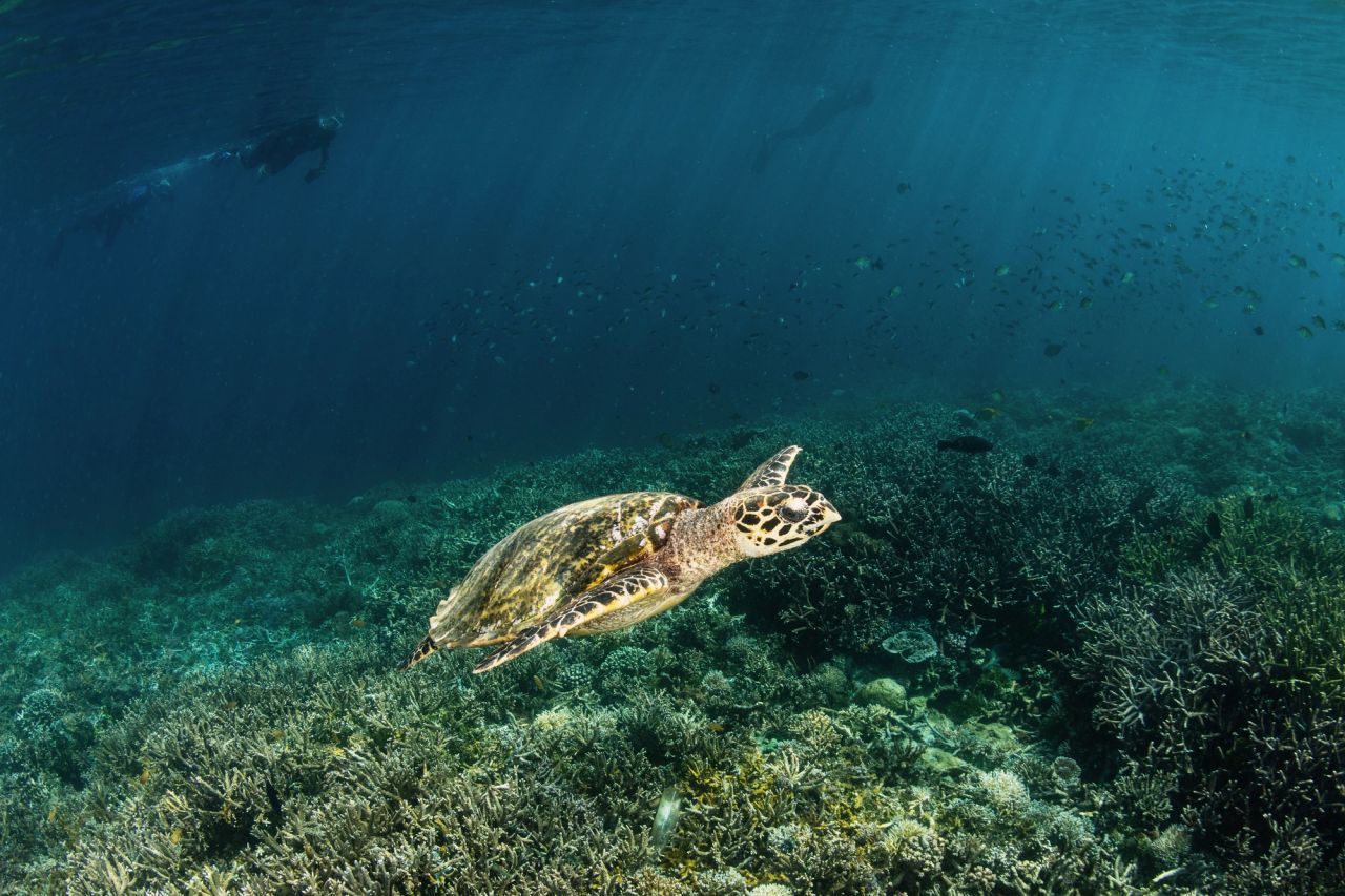 Experienced Divers Only for Key Sites