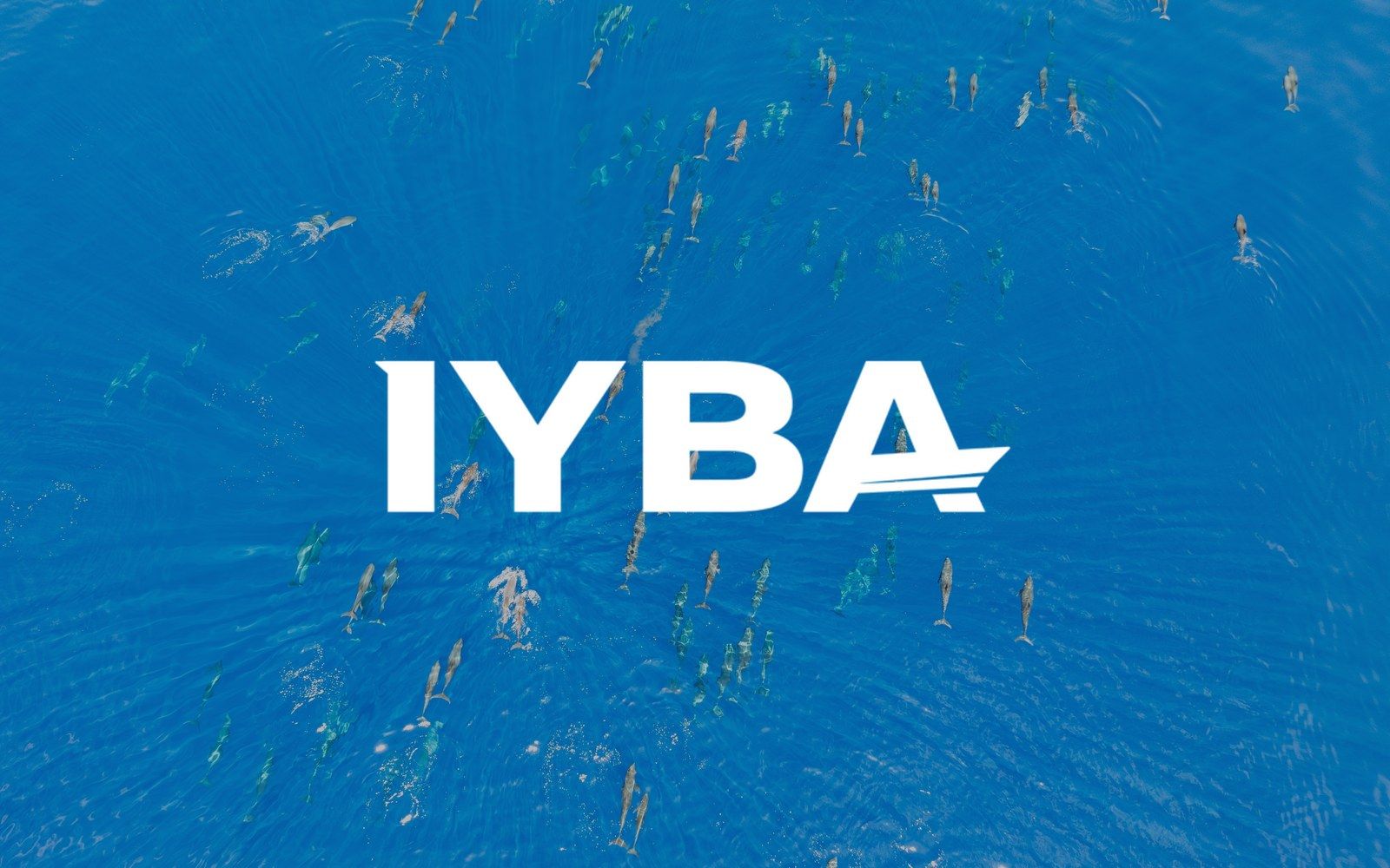 Indo Yachts Feature in International Yacht Brokers Magazine
