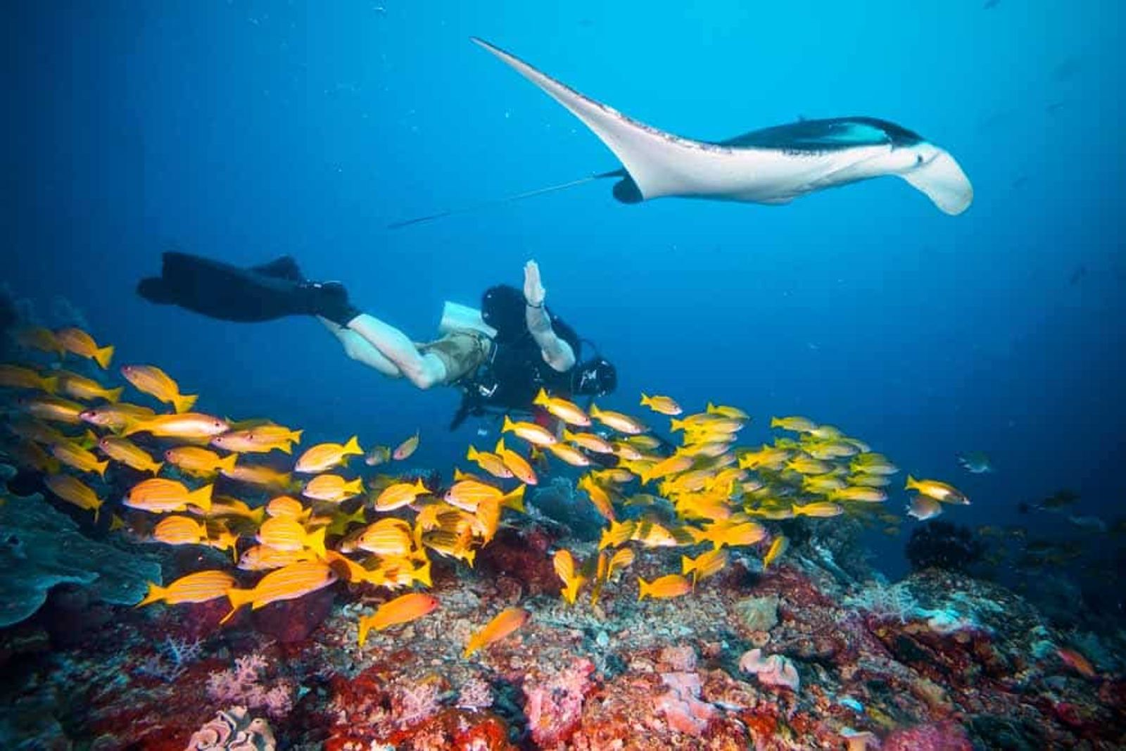 Kri Island, Raja Ampat