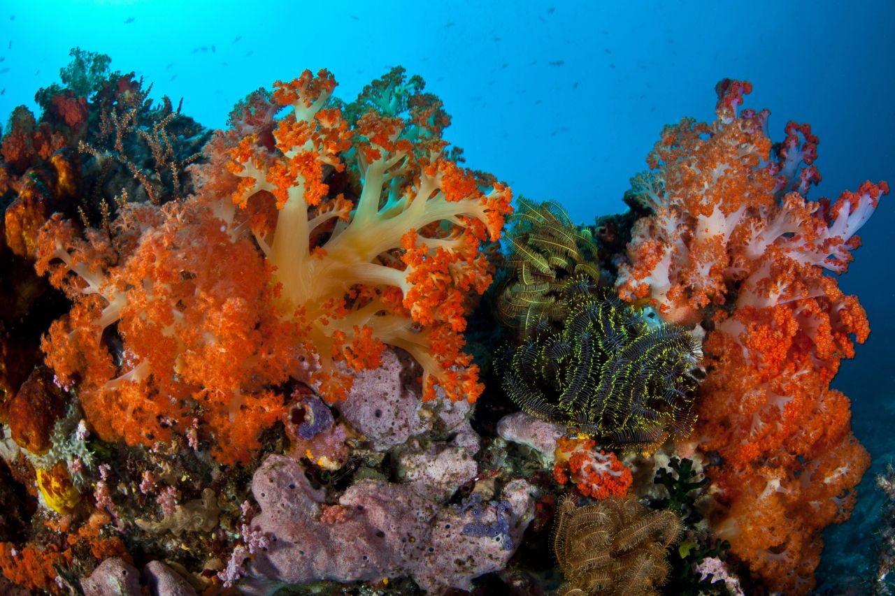 Bangka Archipelago