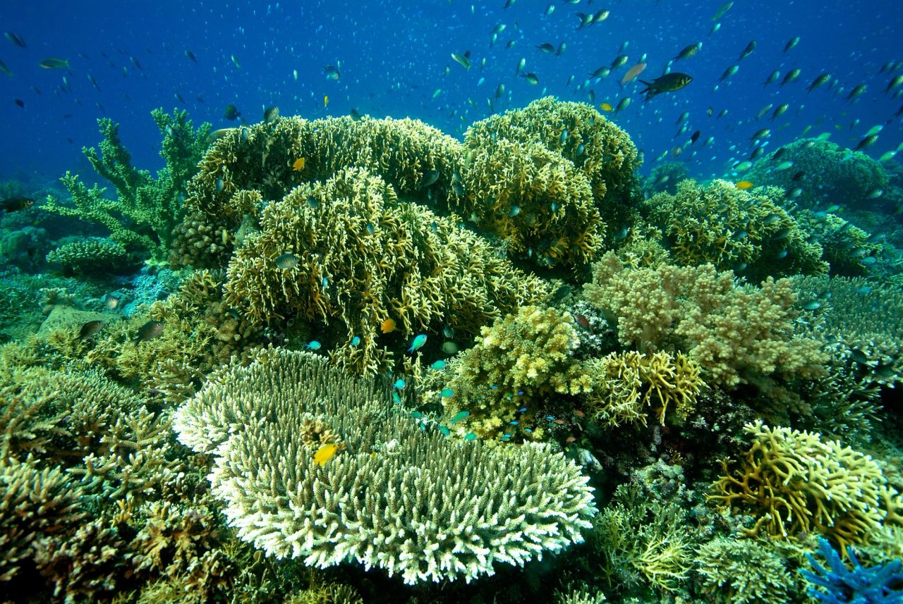 Sumbawa