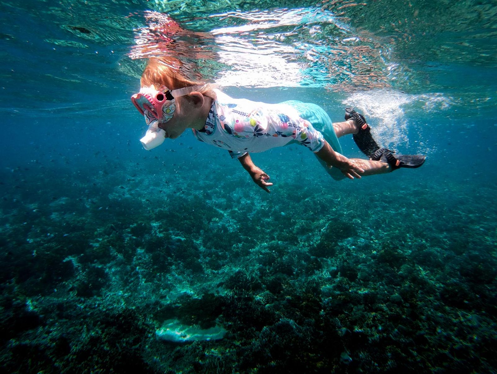 Conservation in Raja Ampat