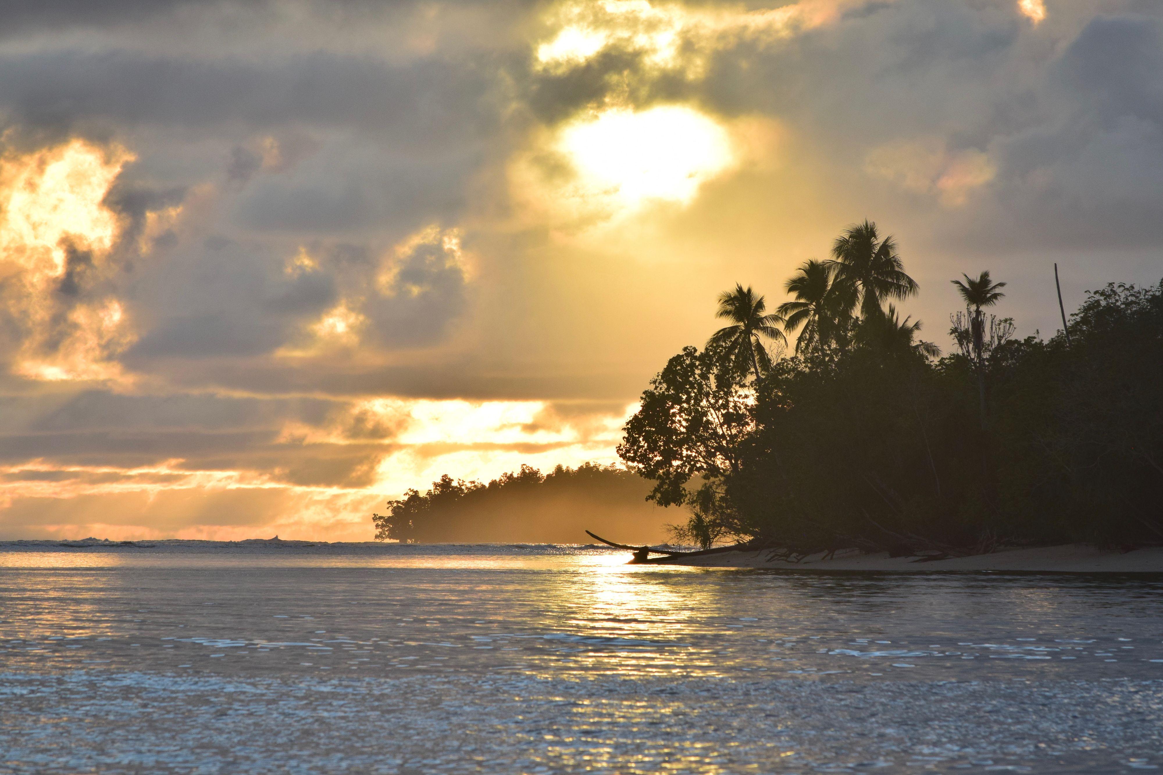 Sunrise over a palm-lined point