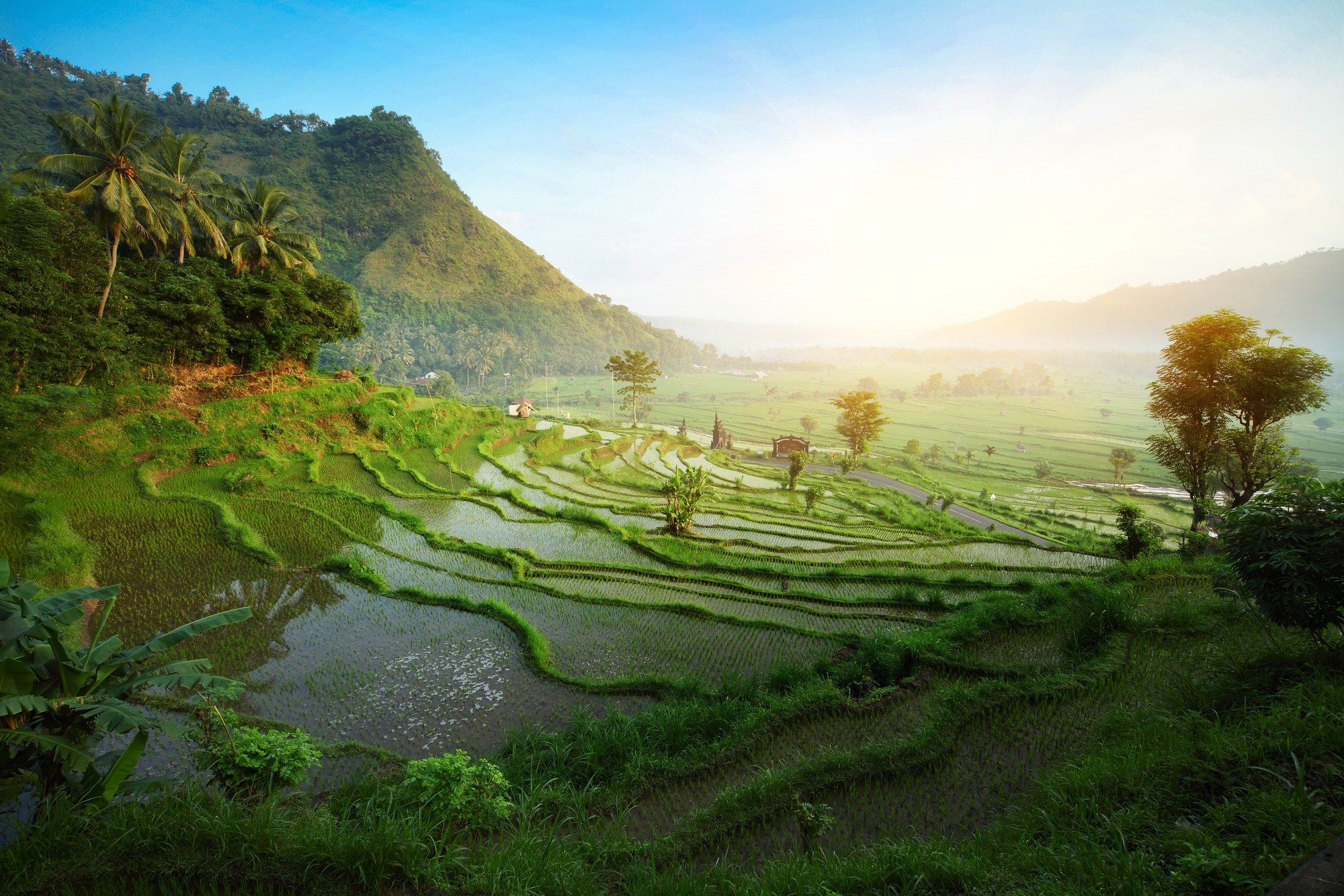 Lesser Sunda Islands, Indonesia