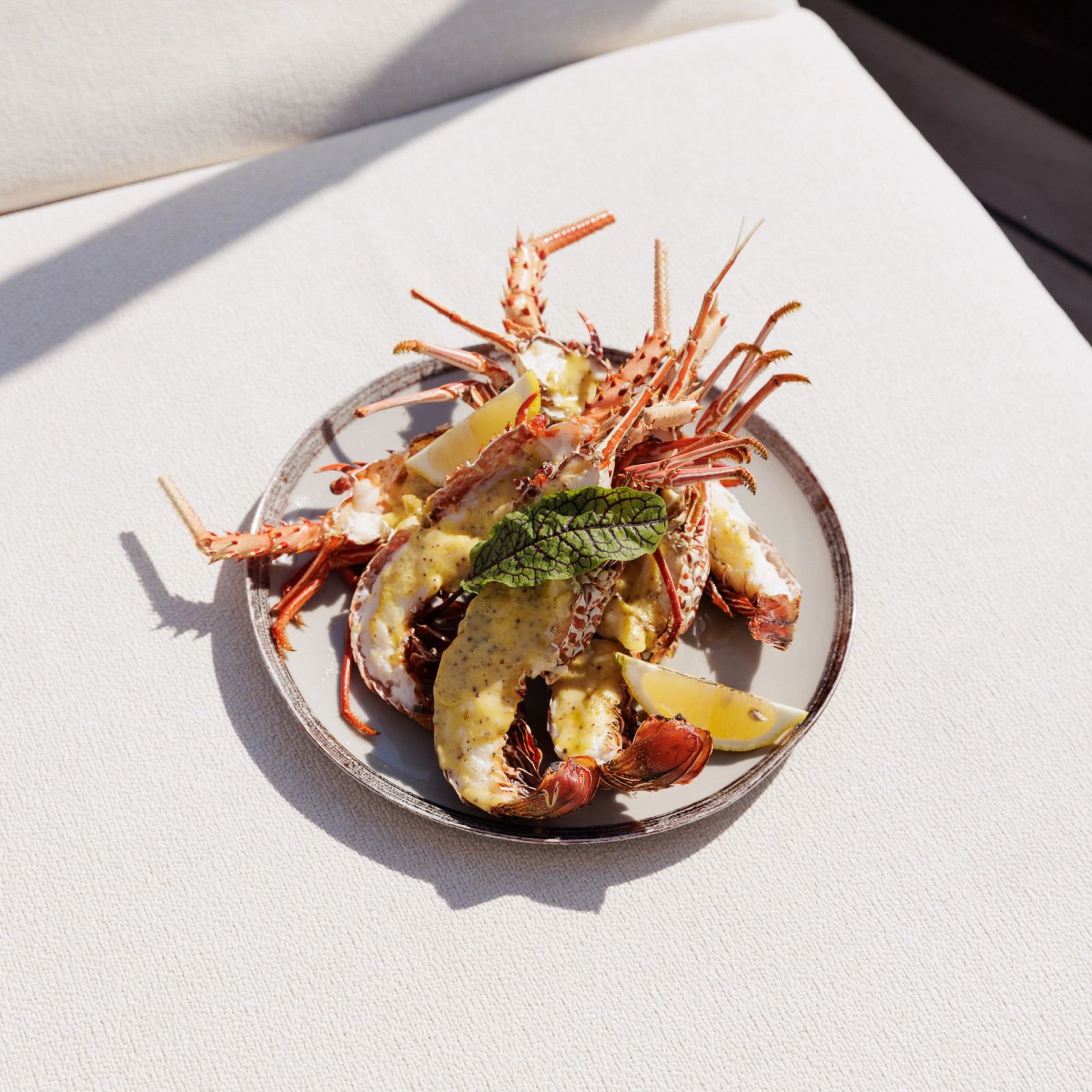 Spiny lobster plated aboard Vela