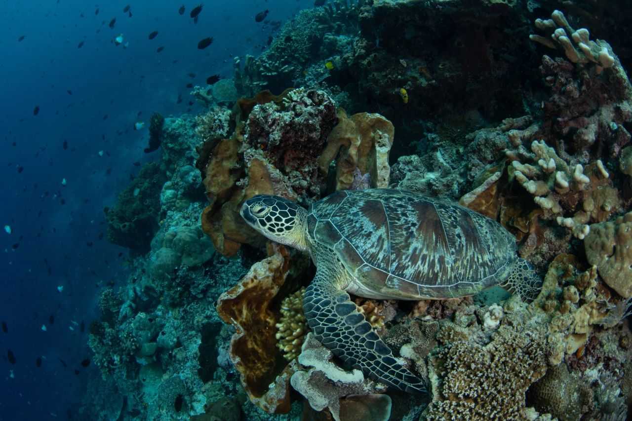 Lombok, Gili Islands