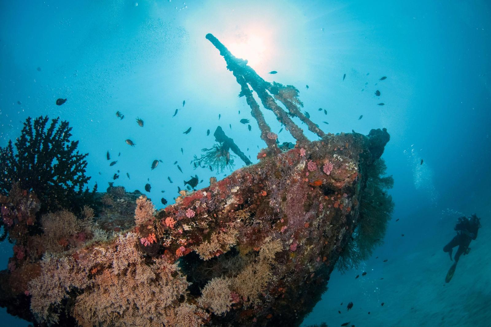 A diver at the bow of the Cross Wreck near Manokwari, Cenderawasih Bay, Indonesia