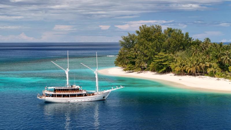 Surf Charters