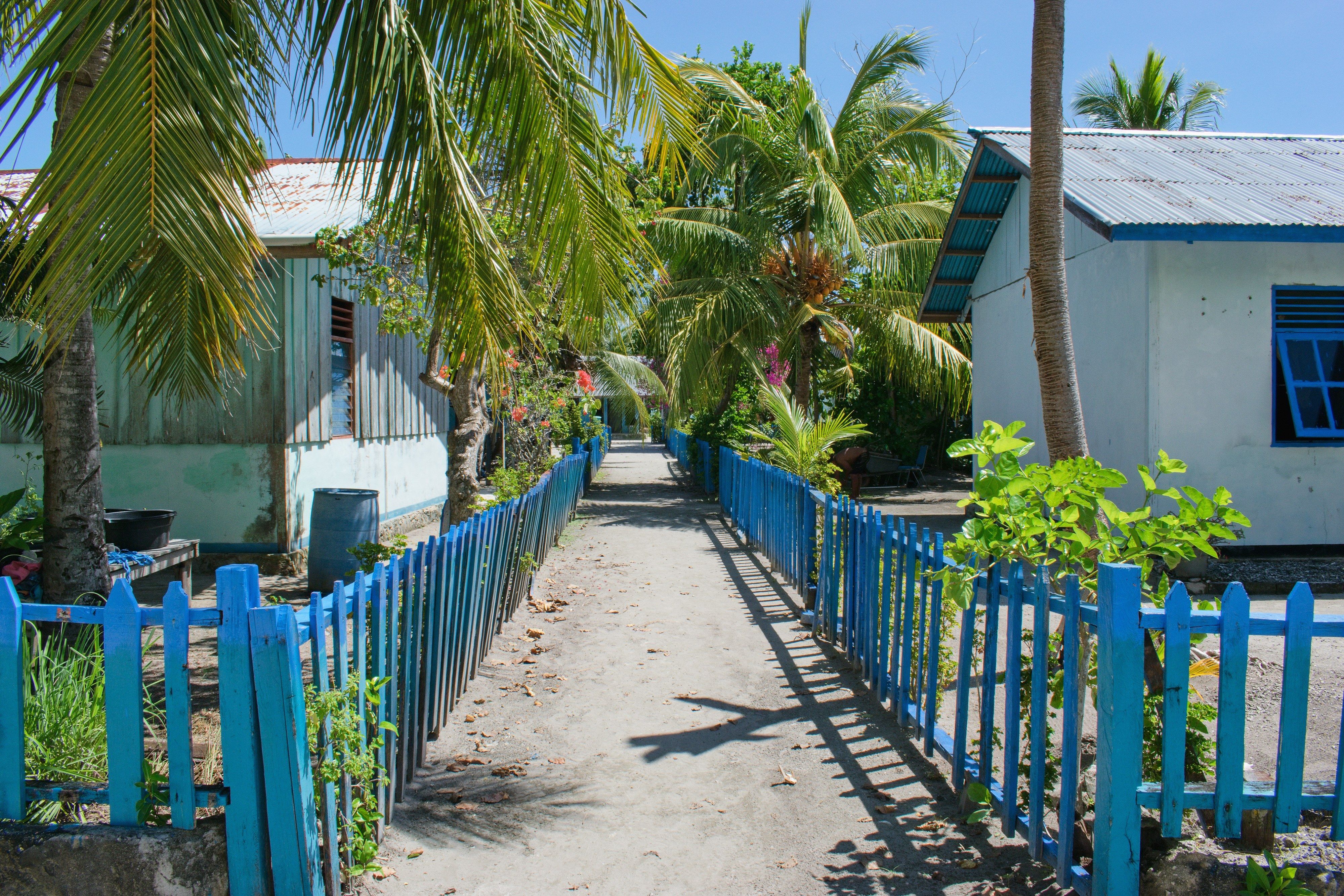 A village lane on Arborek, one of the shore visits for non-divers.