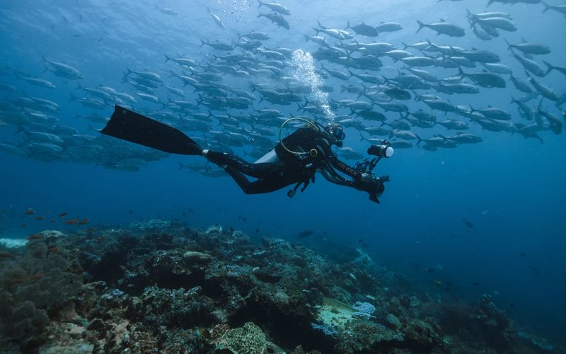 Luxury Diving in Indonesia