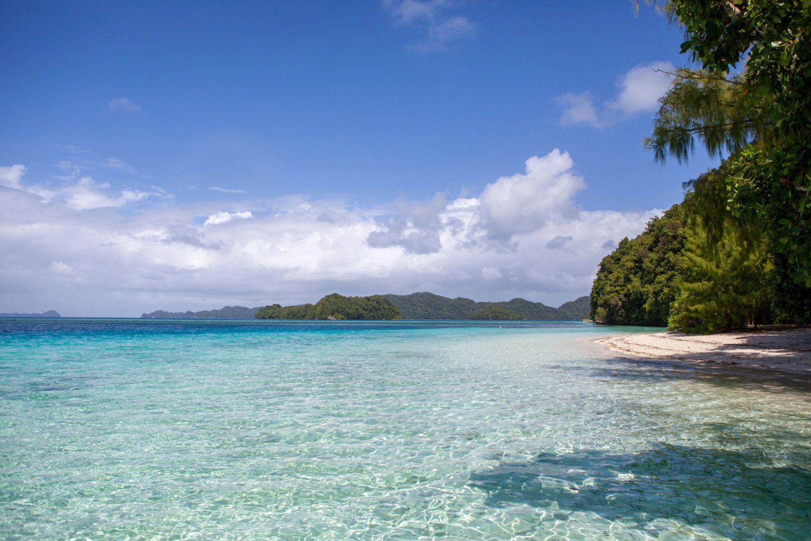 A clear-water beach beside the Rock Islands, the quiet side of Palau above the waterline.