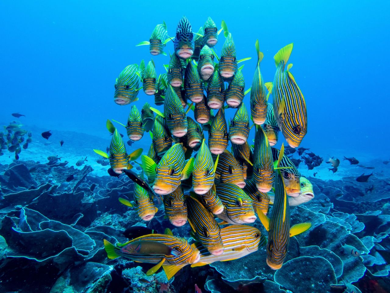 Pantar Strait