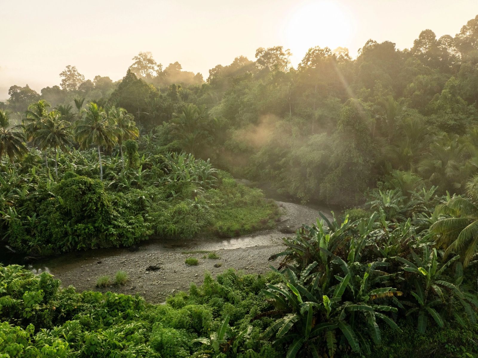 Mist lifts over the Siberut rainforest and a river winding toward the coast.