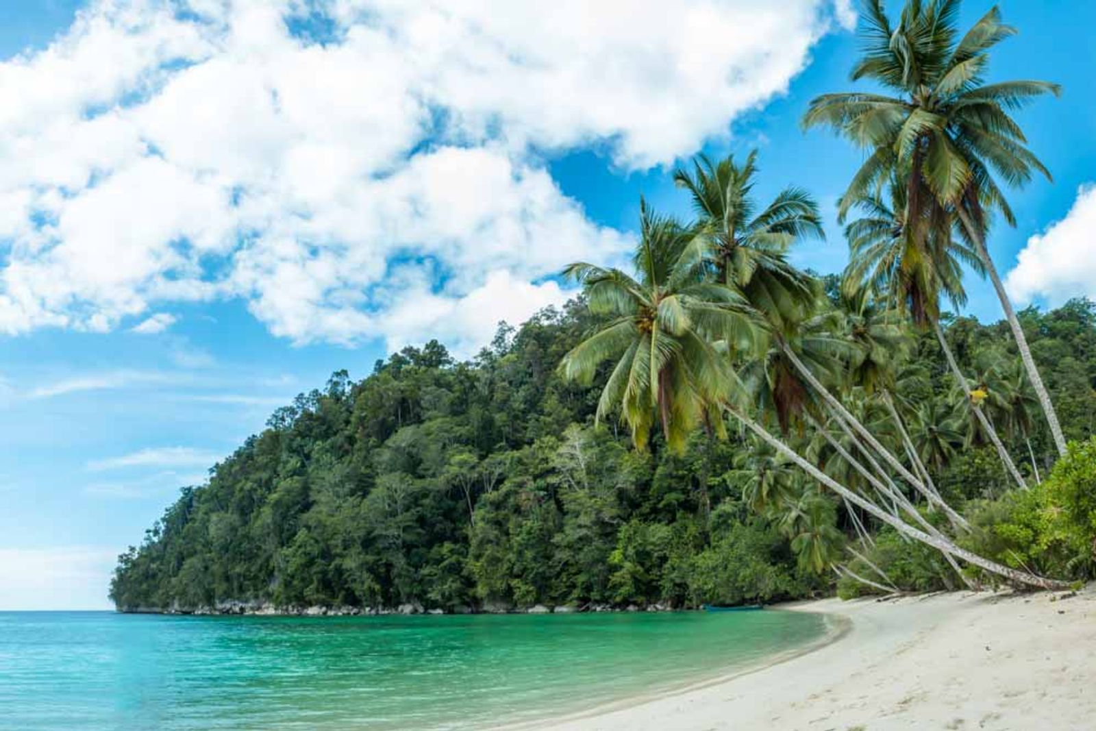 Triton Bay, West Papua