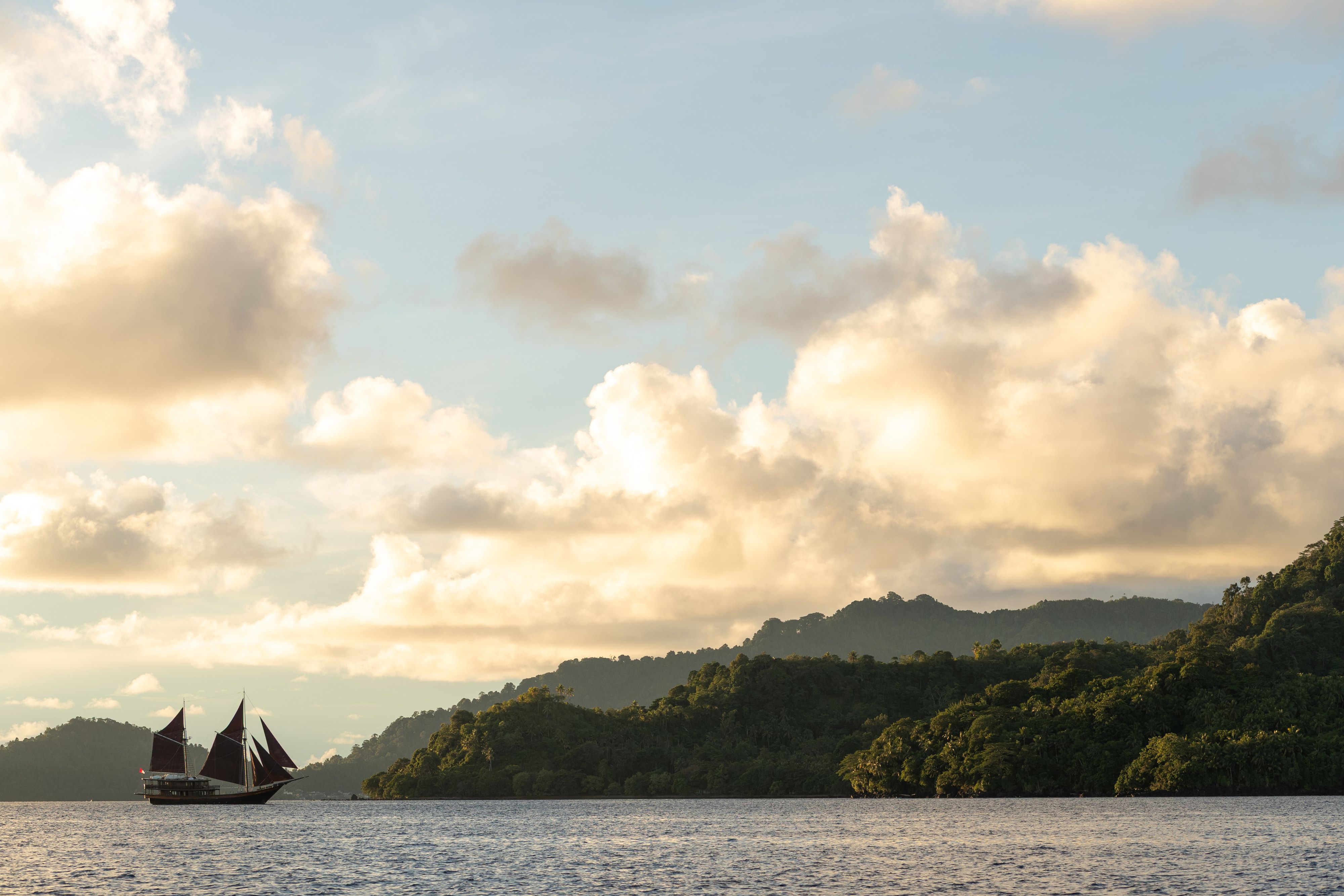 Dunia Baru under sail off a forested coastline at golden hour