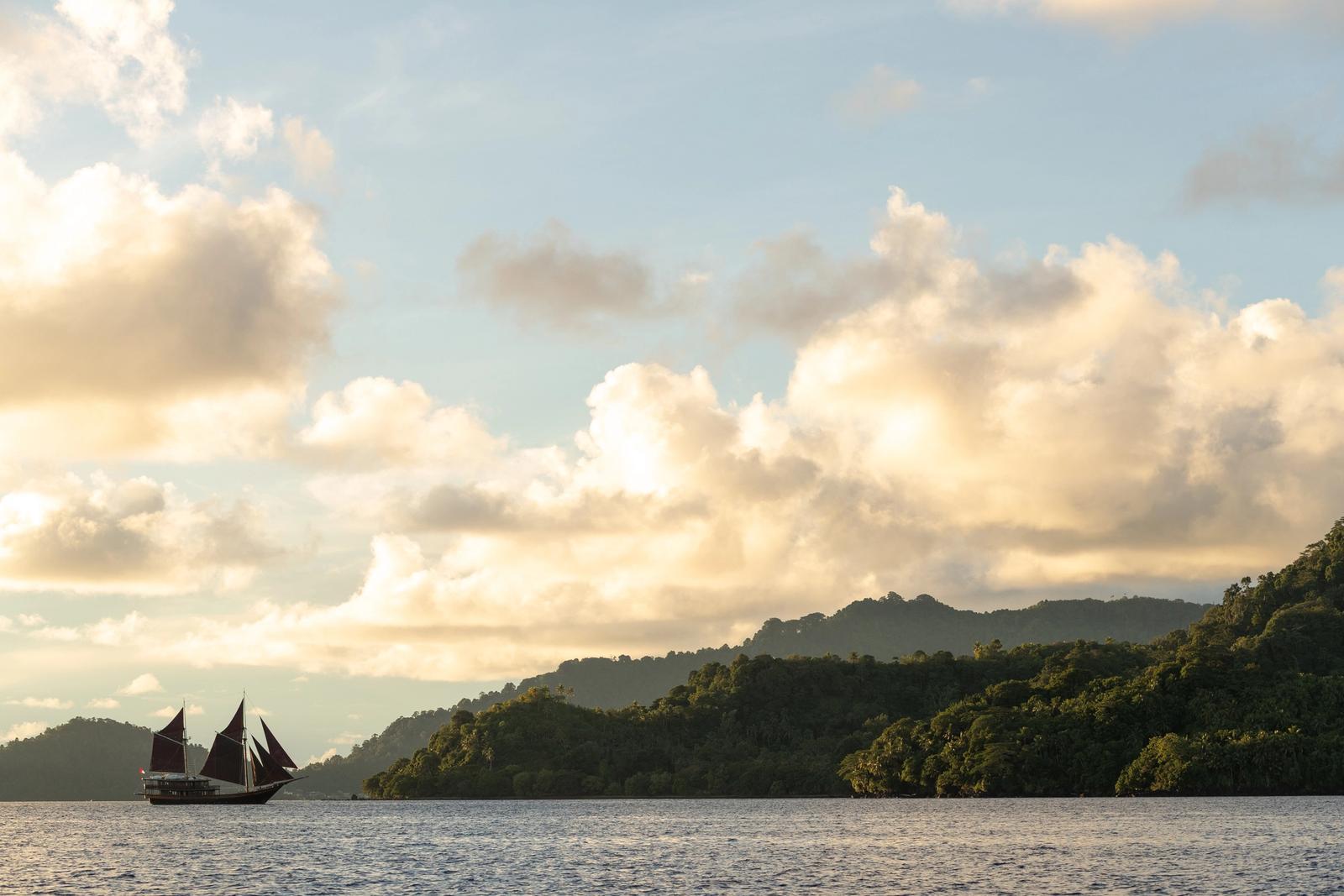Dunia Baru under sail off a forested coastline at golden hour