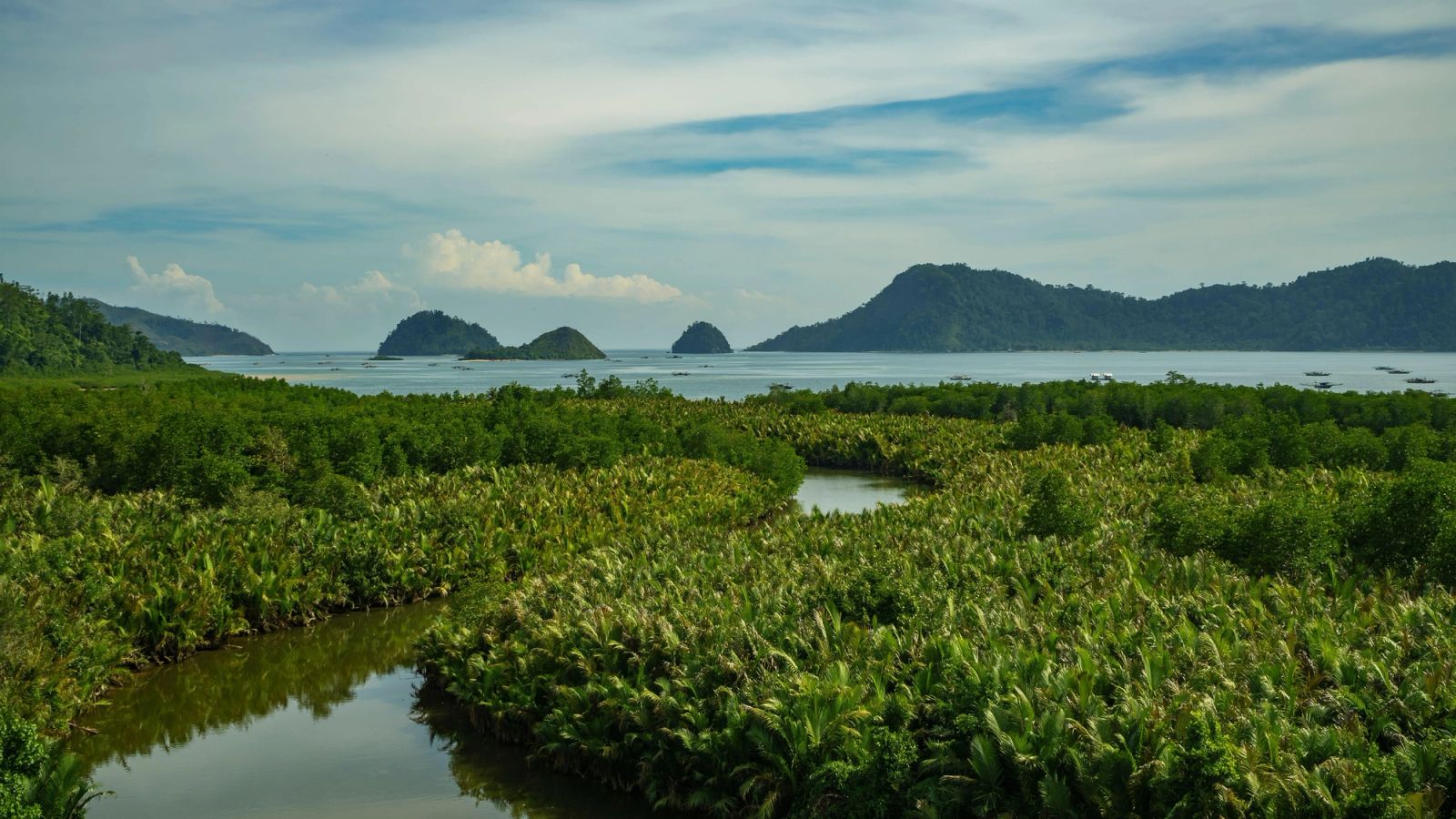 Small islands rise out of the mangroves and jungle across the Telo archipelago.