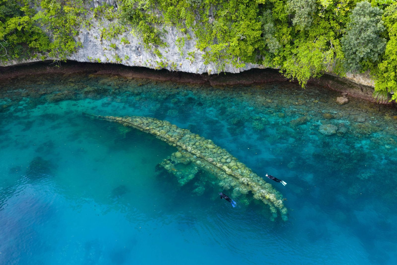 A shipwreck in the clear shallows of Palau's southern lagoon.