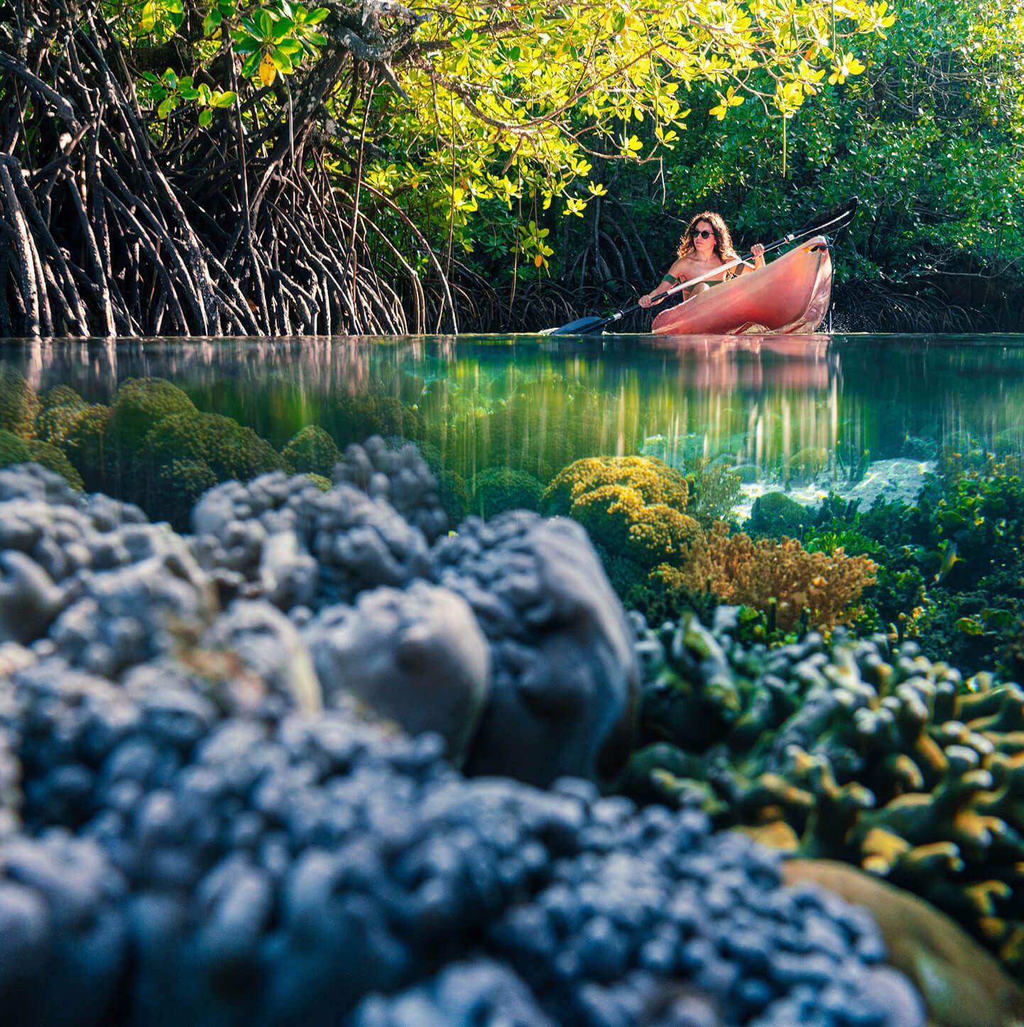 Rated for the Banda Sea