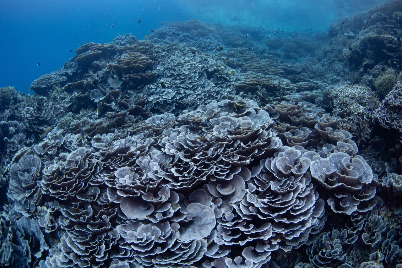 Nusa Laut at Slack Tide