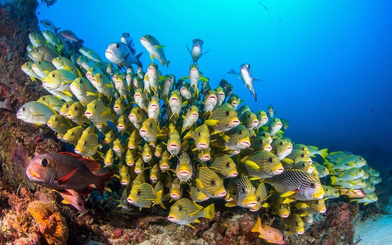 Raja Ampat Yacht Charter Guide