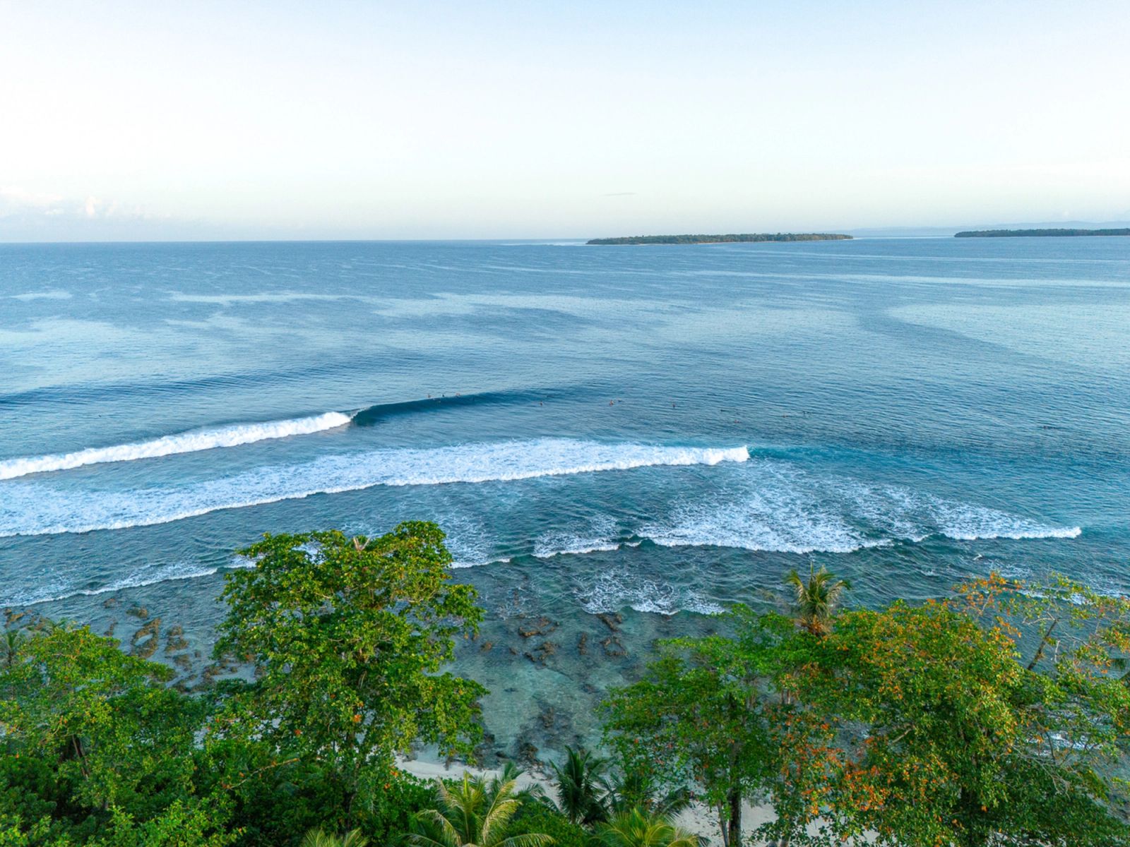 A wave breaking over a reef seen from a hill above green trees.