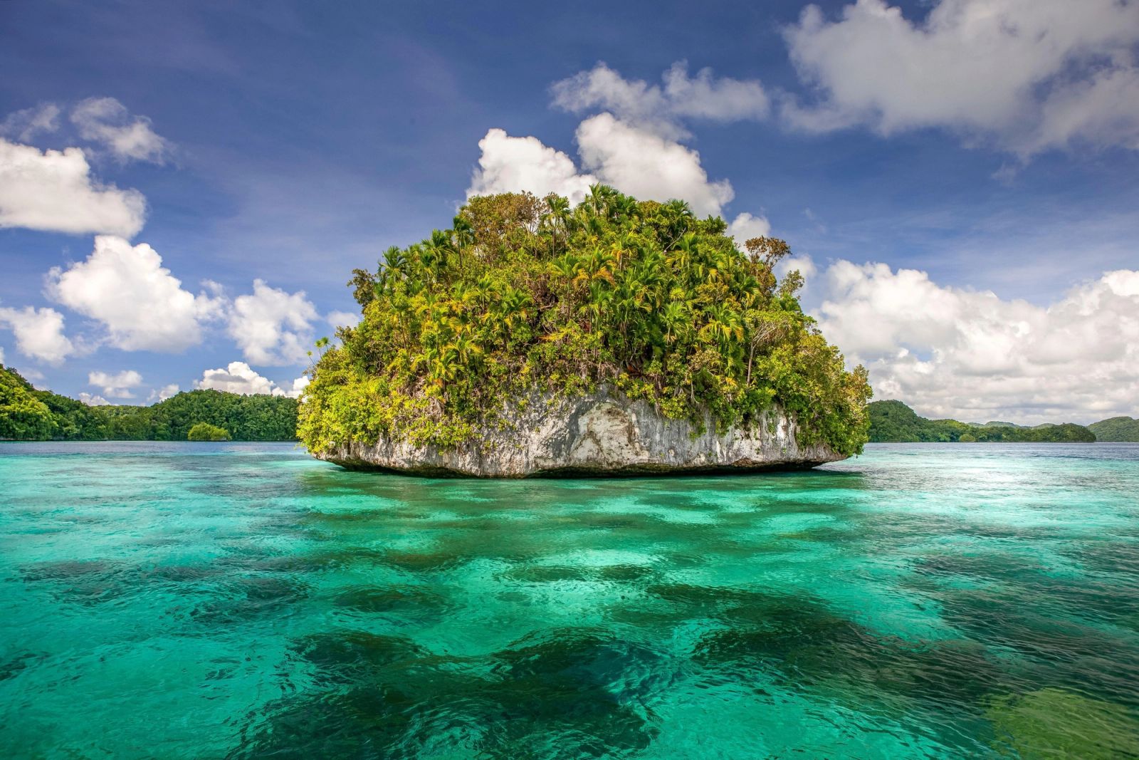A forested limestone islet rising from the turquoise water of the Rock Island Southern Lagoon.