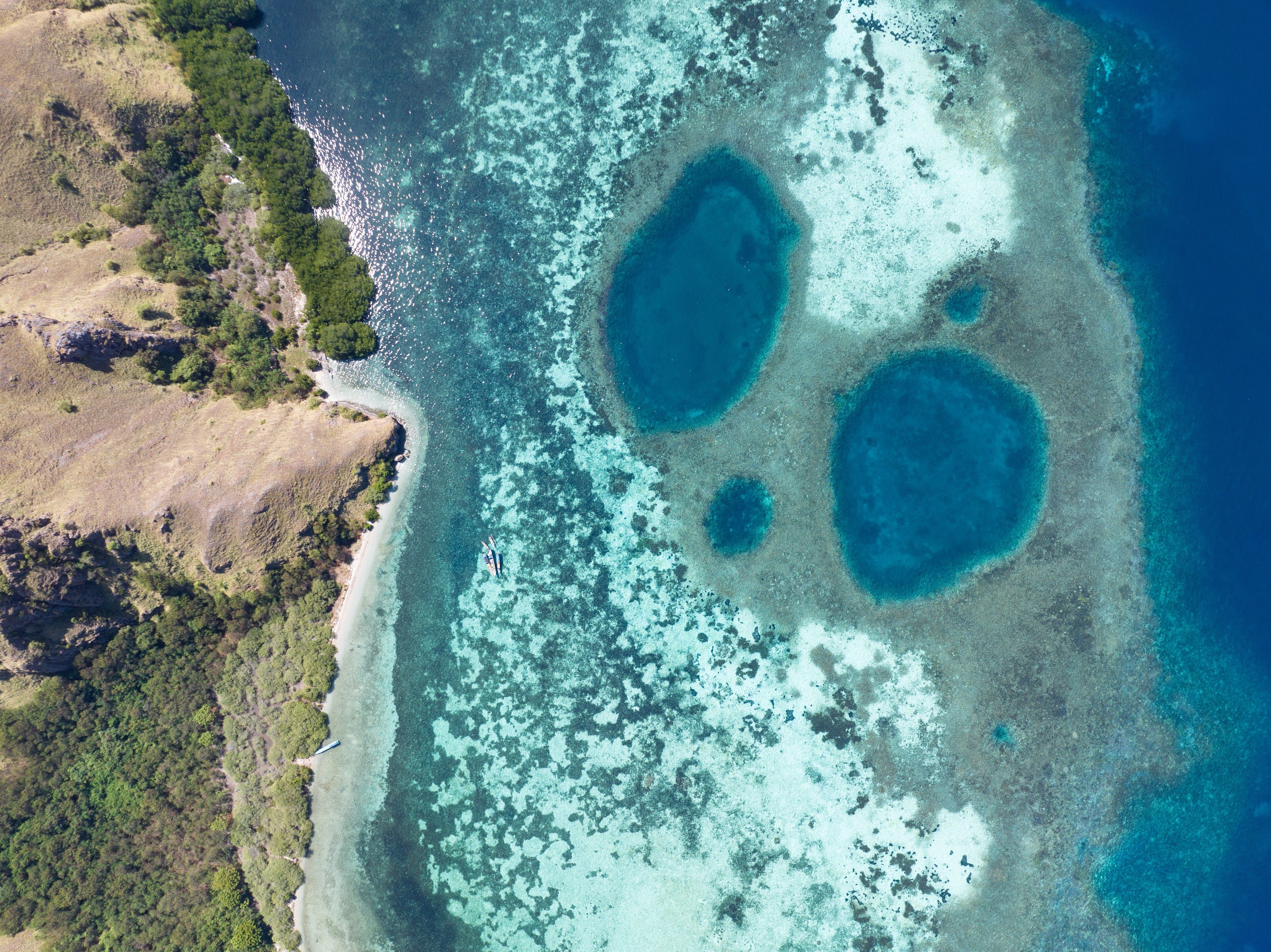 Raja Ampat vs. Komodo