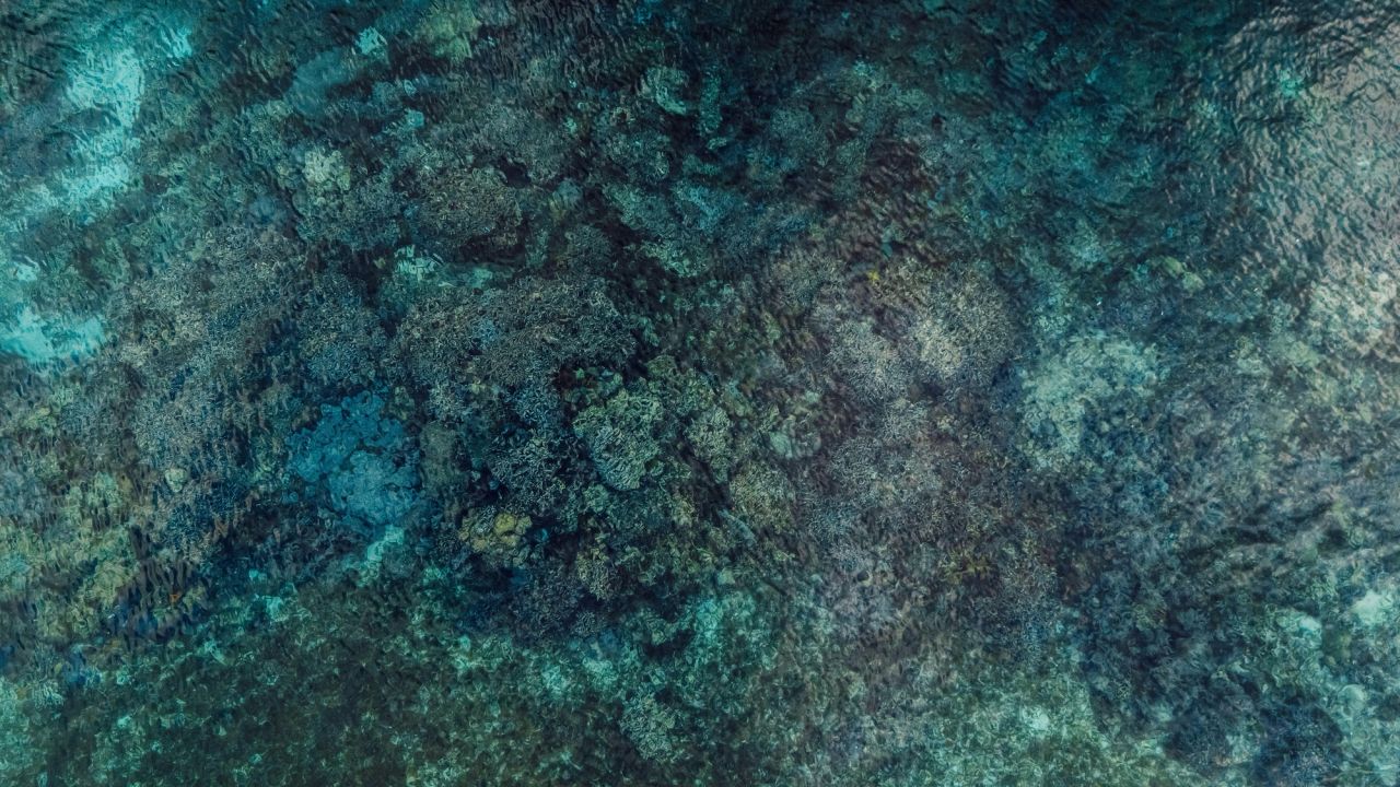 Inner Islands