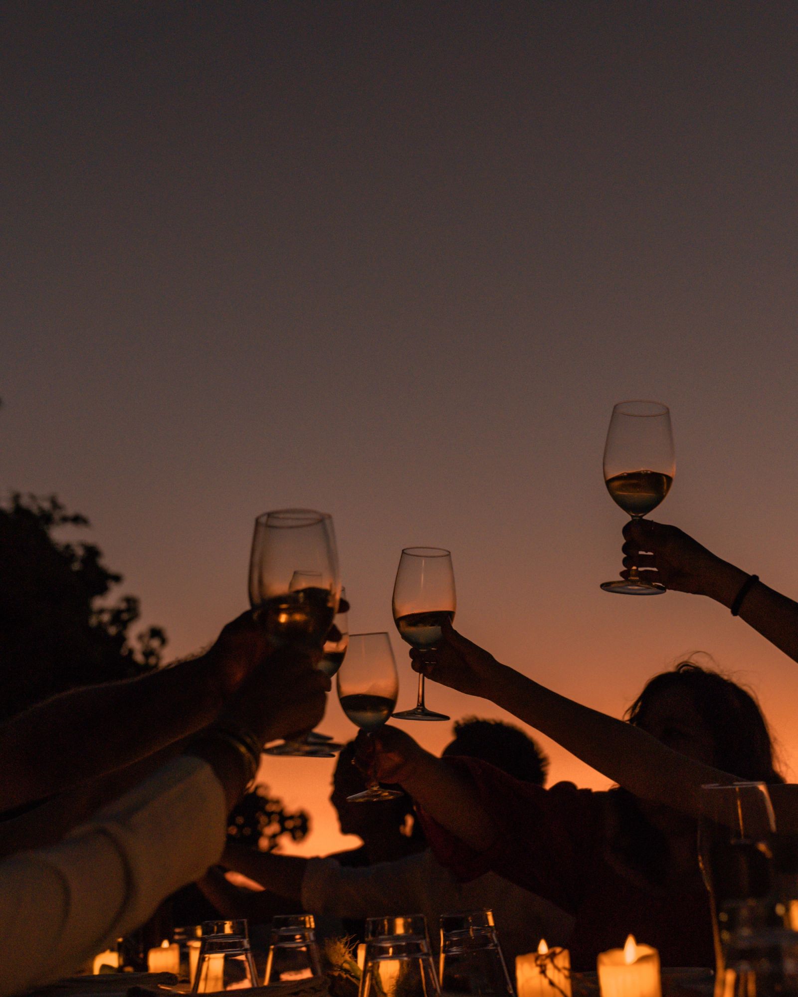 Guests raising wine glasses in a toast at dusk.